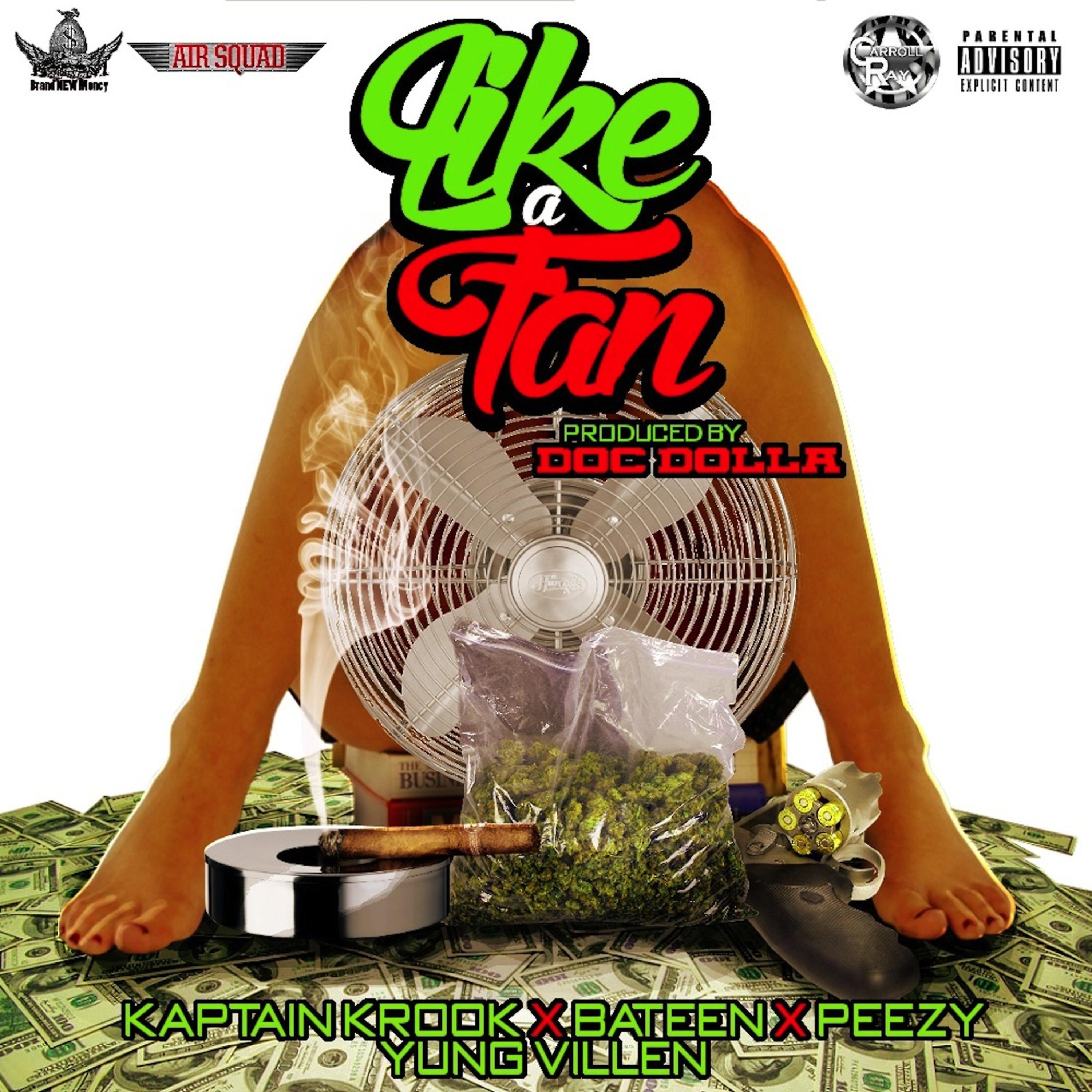 Постер альбома Like a Fan (feat. Kaptain Krook, Peezy & Yung Villen)