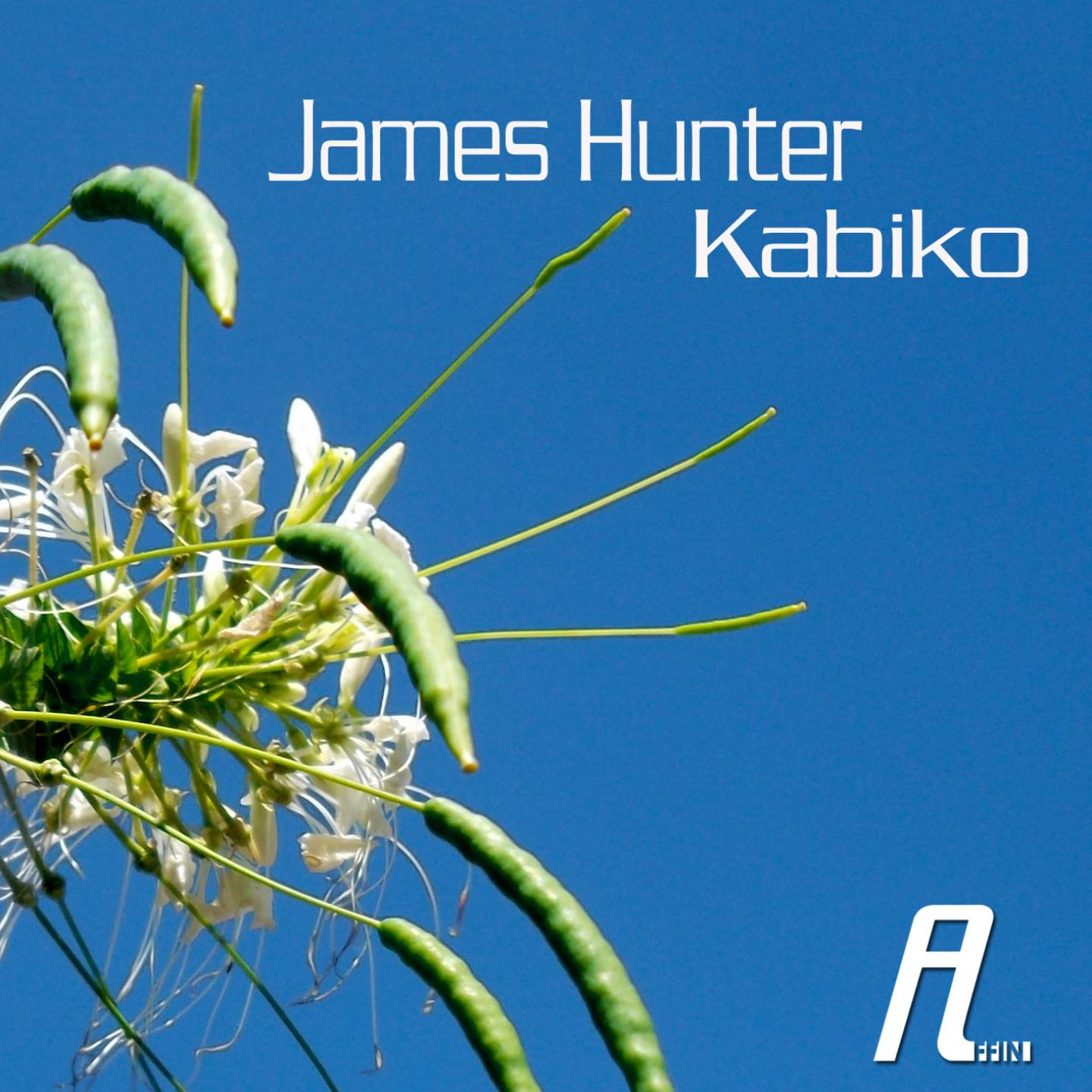 Постер альбома Kabiko