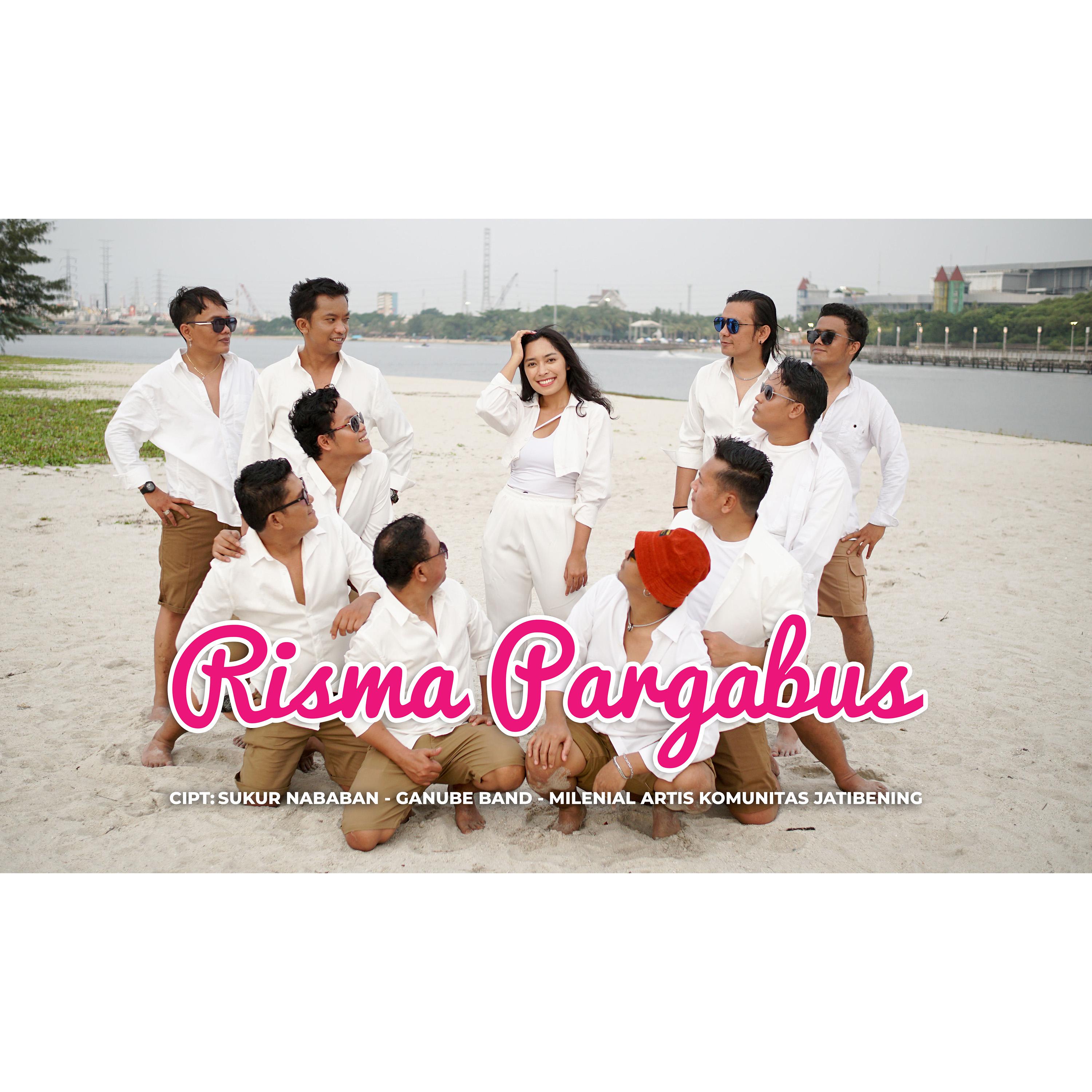 Постер альбома Risma Pargabus