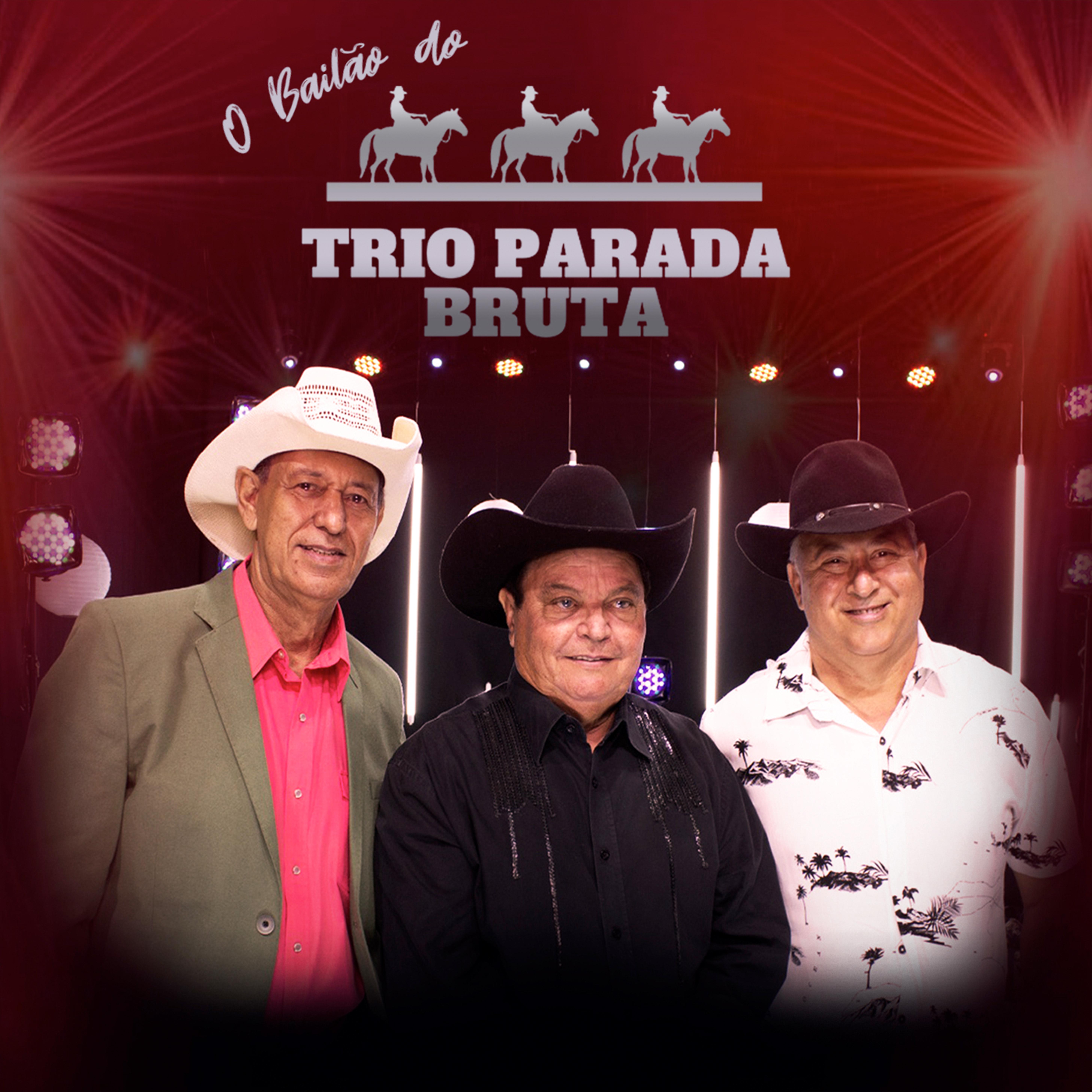 Постер альбома O Bailão do Trio Parada Bruta