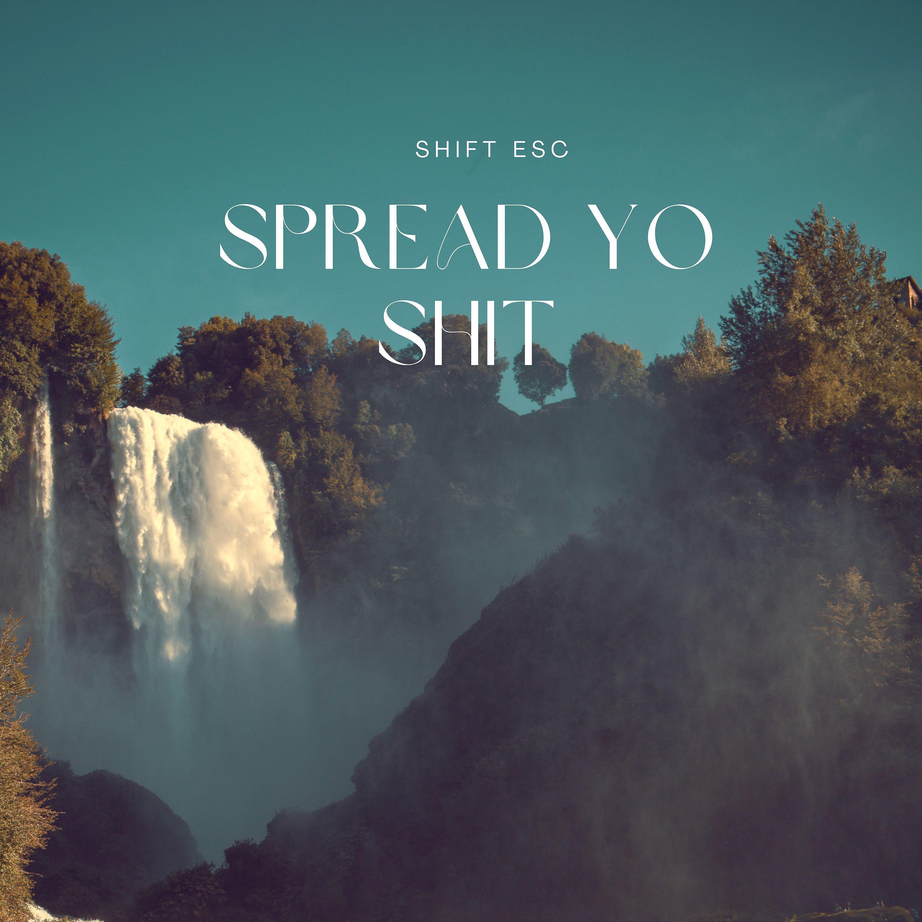 Постер альбома Spread Yo Shit