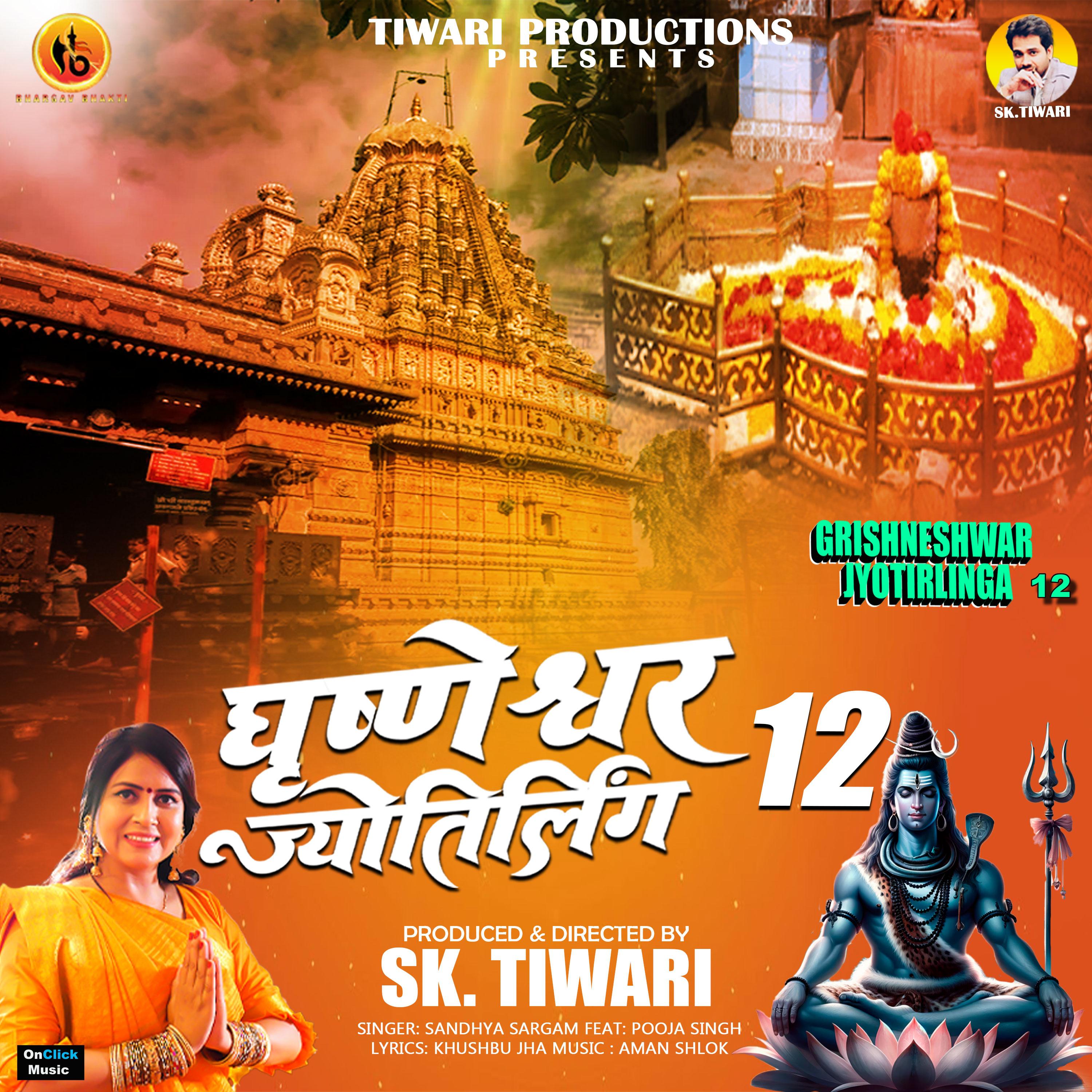 Постер альбома Grishneshwar Jyotirlinga, Pt. 12