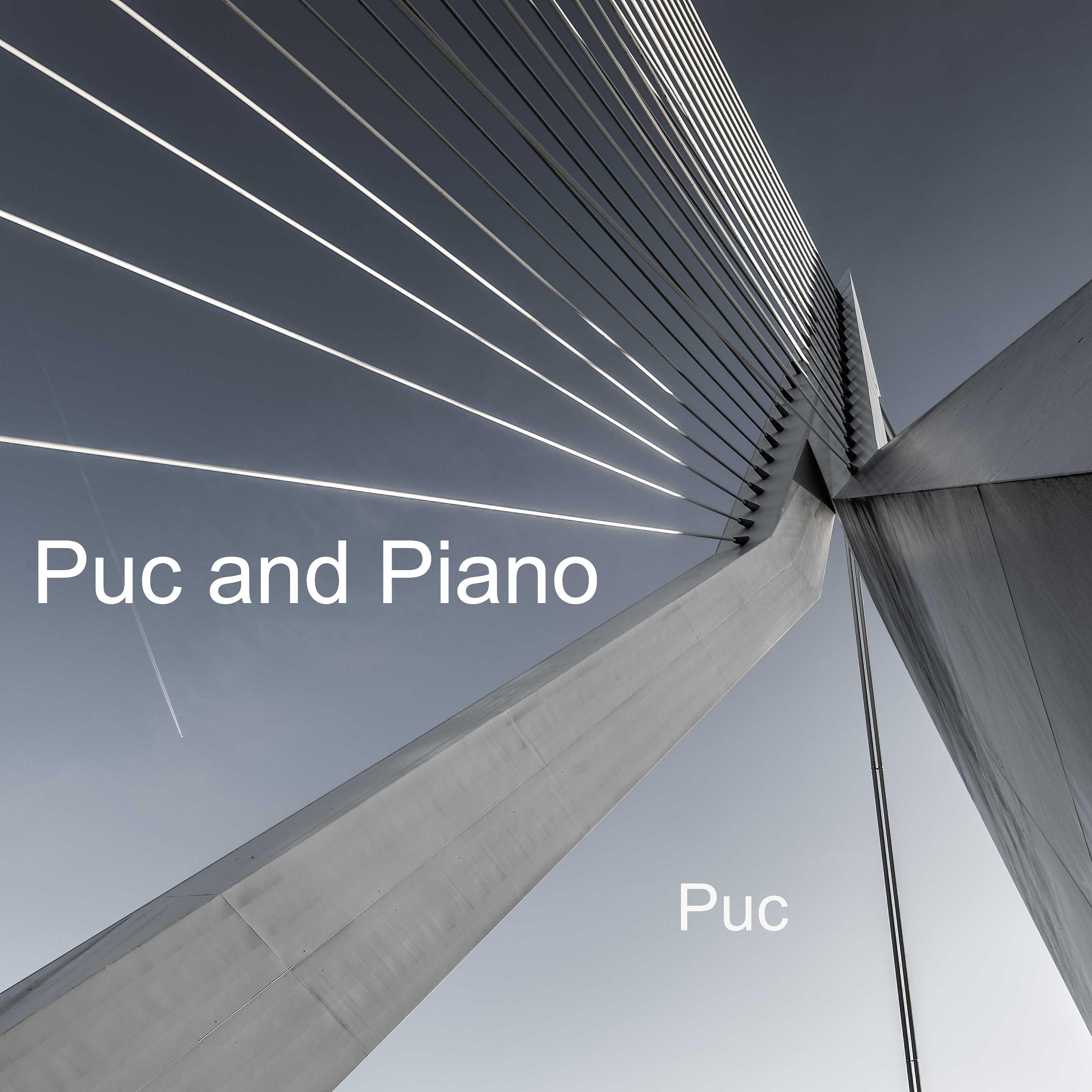 Постер альбома Puc and Piano
