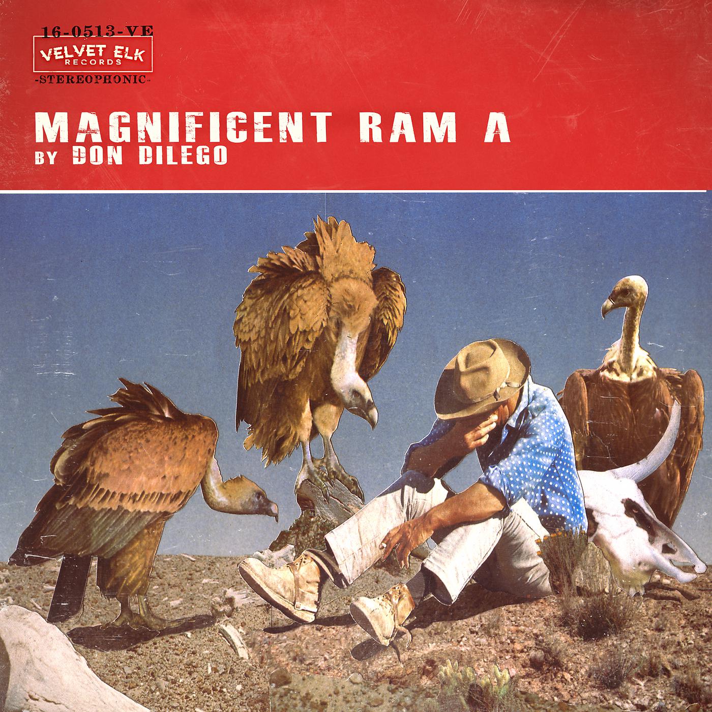 Постер альбома Magnificent Ram A