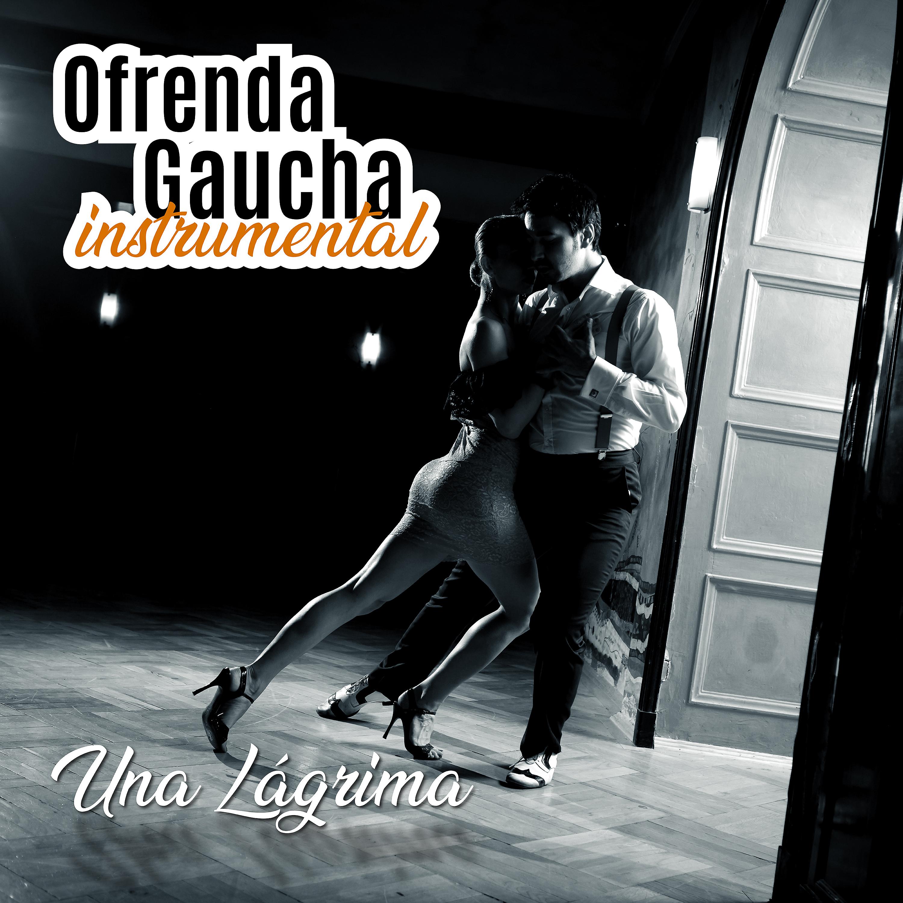 Постер альбома Ofrenda Gaucha: Una Lágrima (Instrumental)