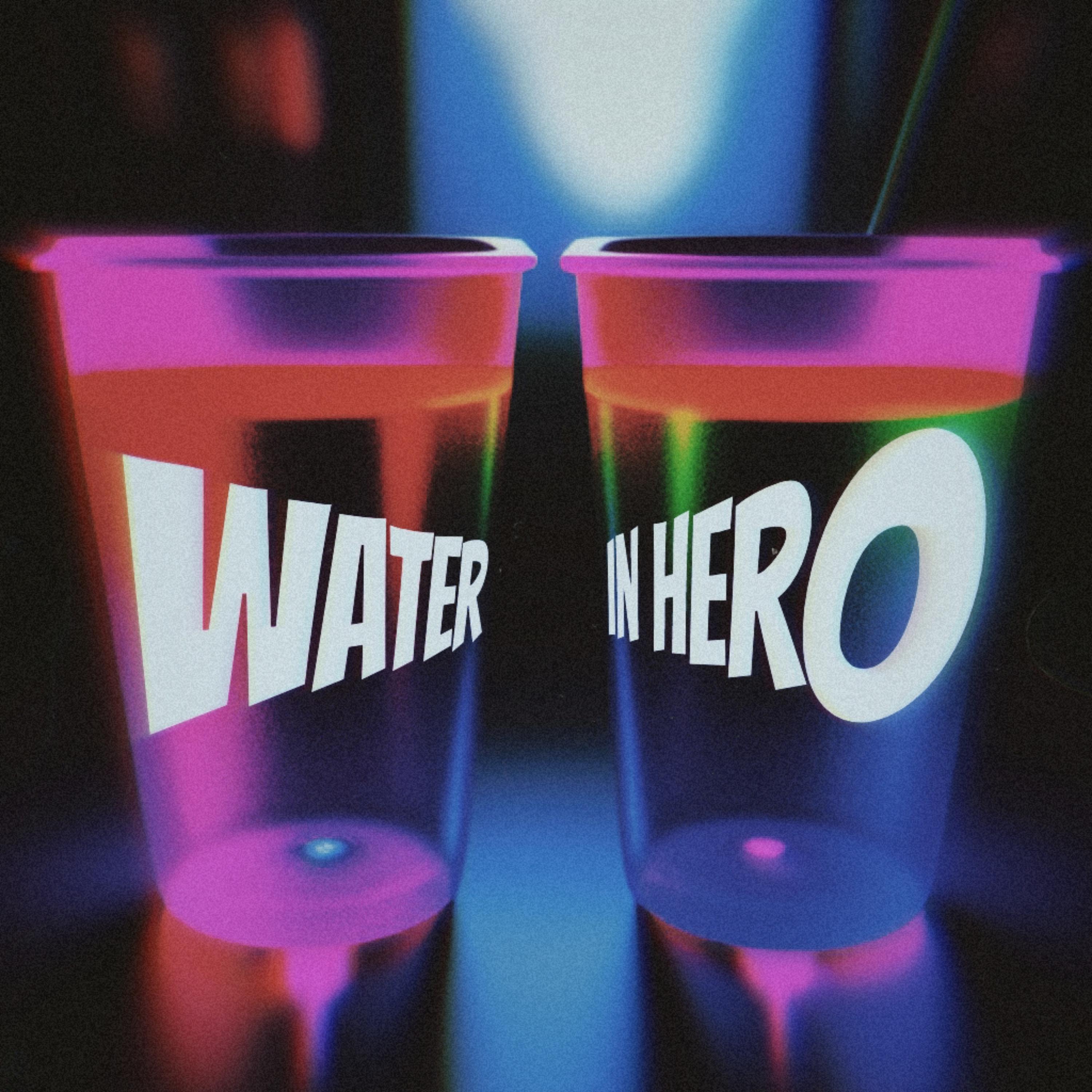 Постер альбома Water in Hero (Diss)