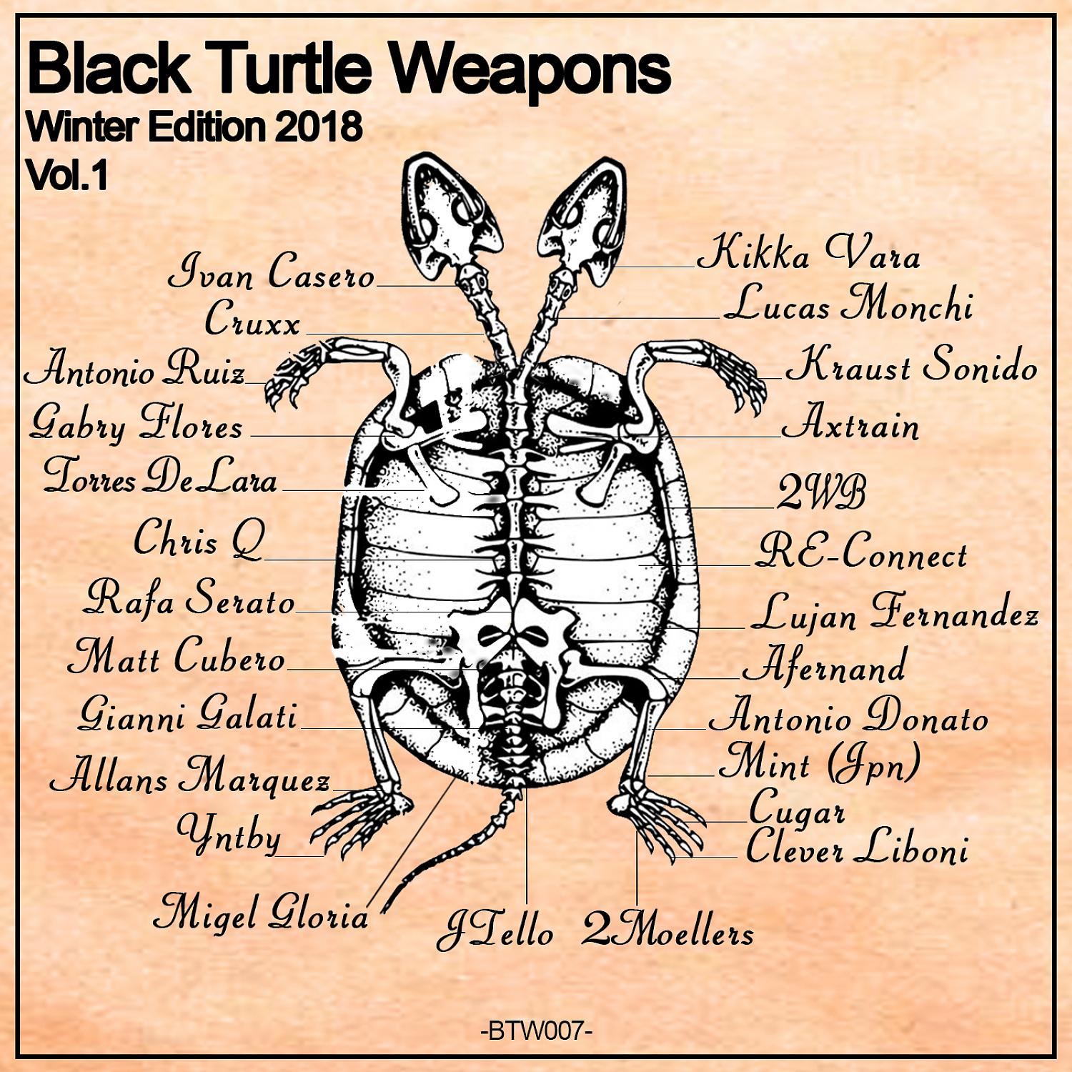 Постер альбома Black Turtle Weapons Winter Edition 2018 Vol.1