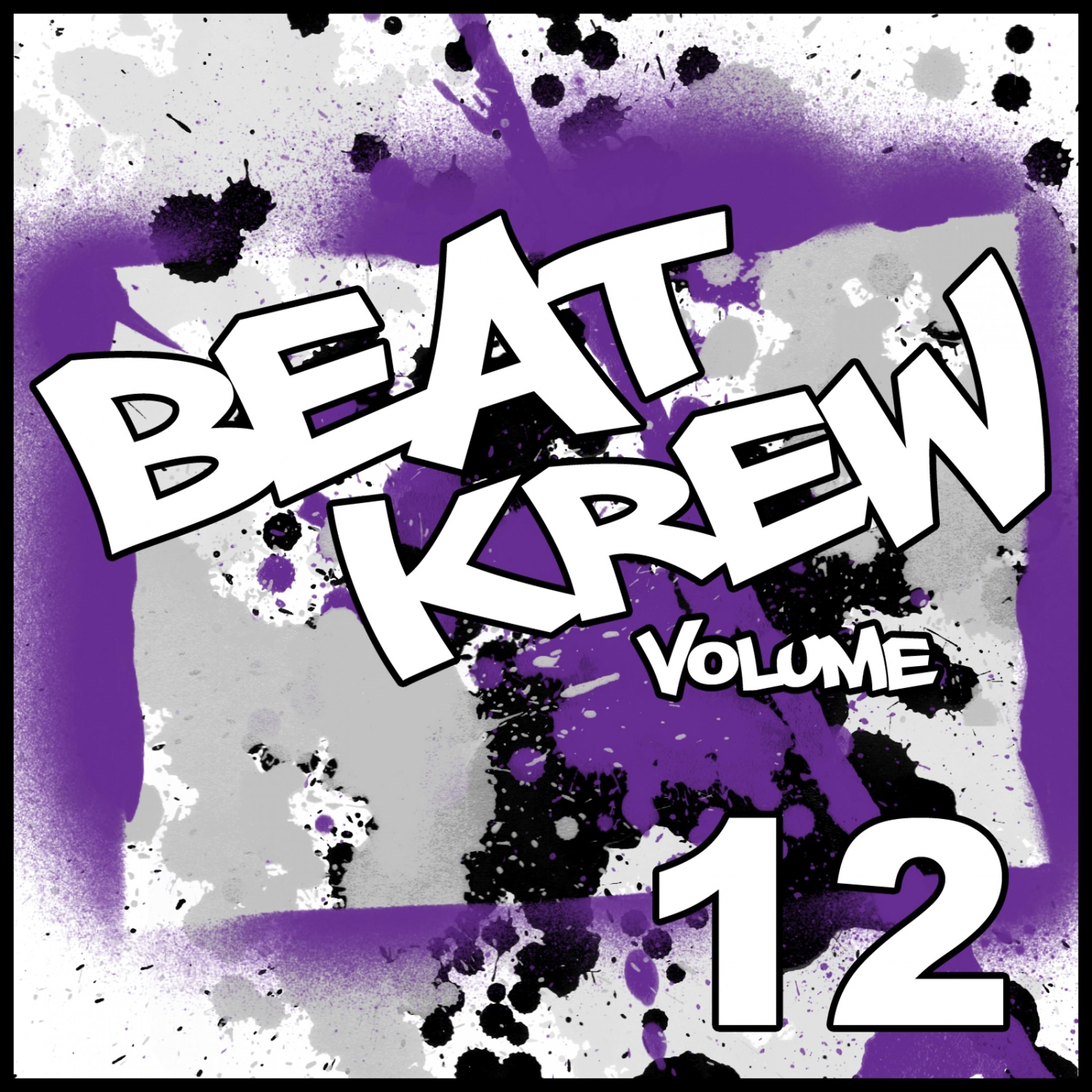 Постер альбома Beat Krew #12