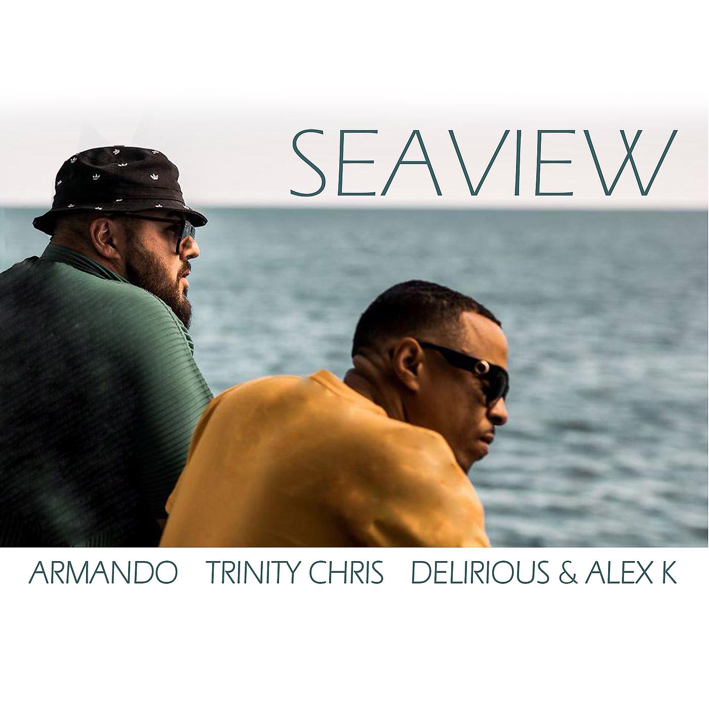 Постер альбома Seaview