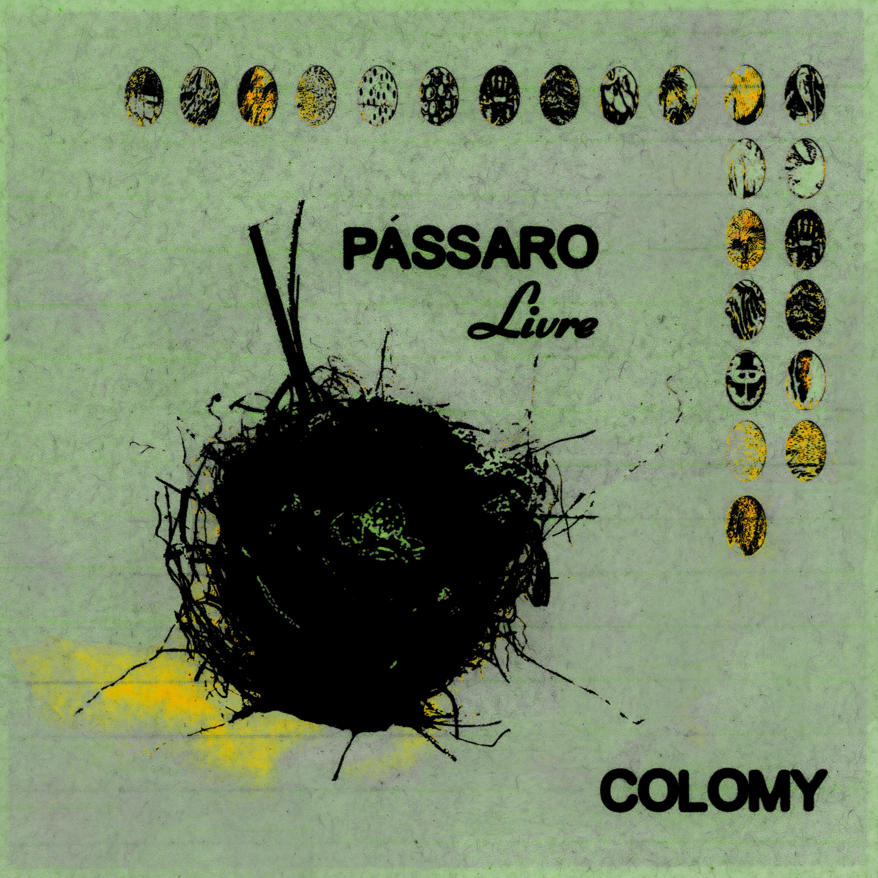 Постер альбома Pássaro Livre