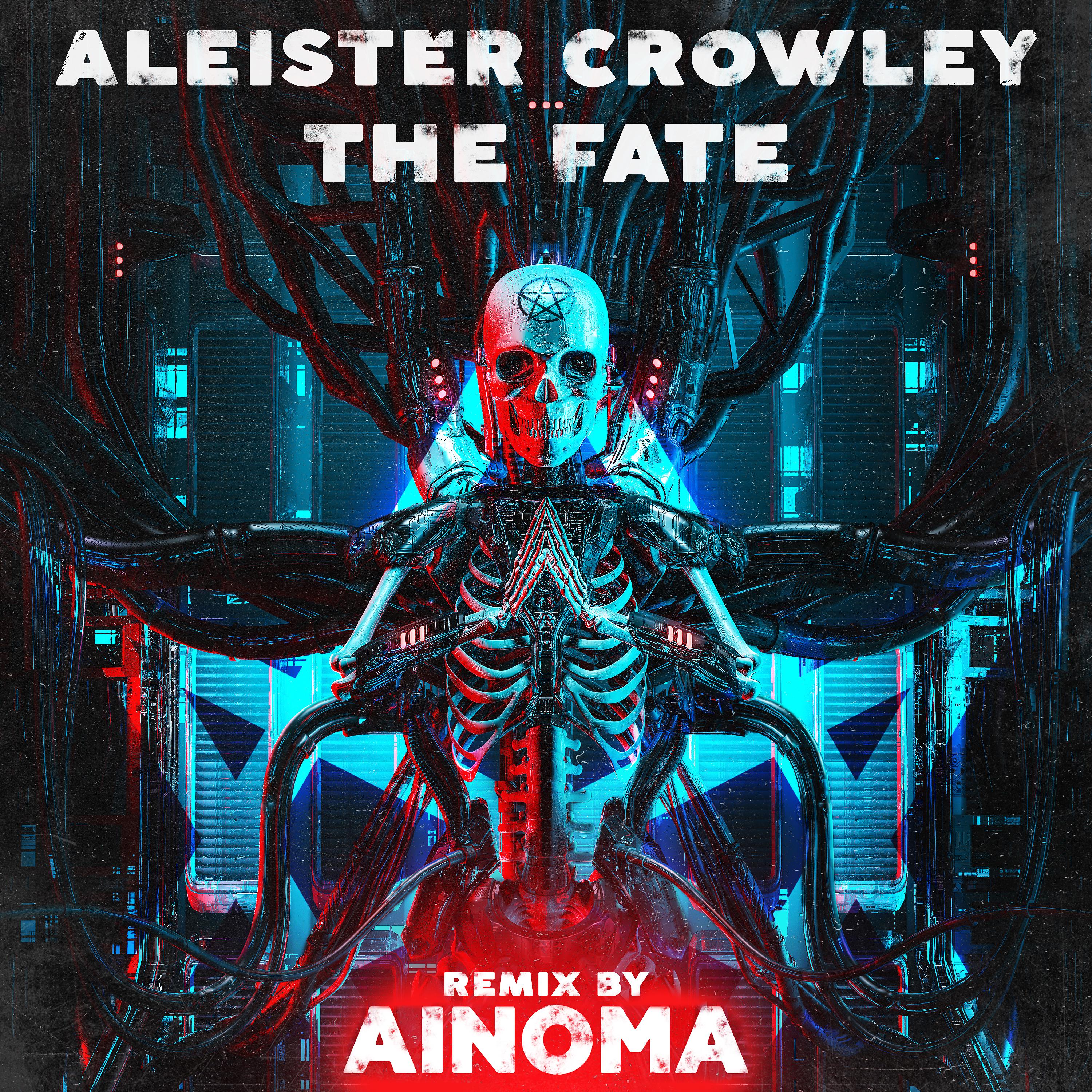 Постер альбома The Fate (Ainoma Remix)