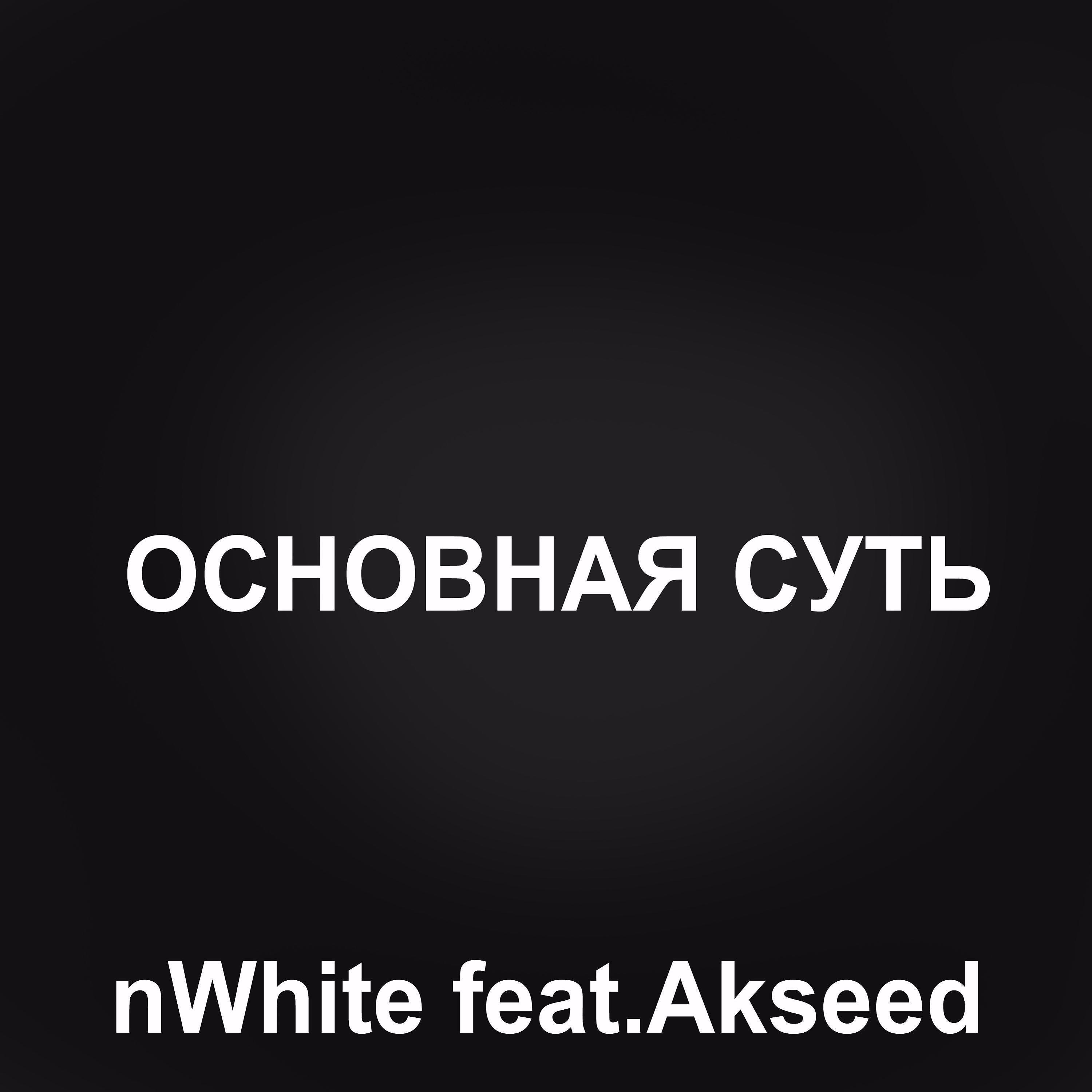 Постер альбома Основная суть (feat. Akseed)