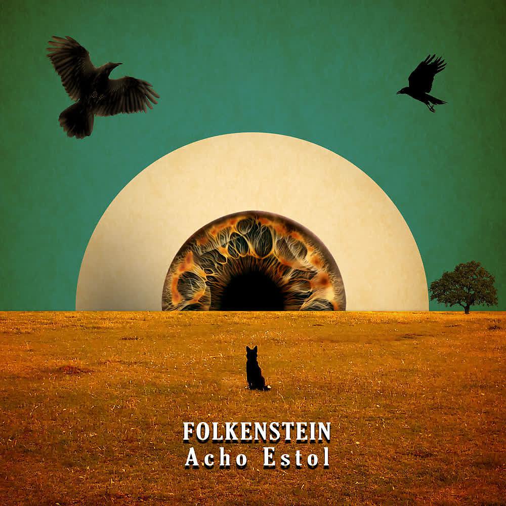 Постер альбома Folkenstein