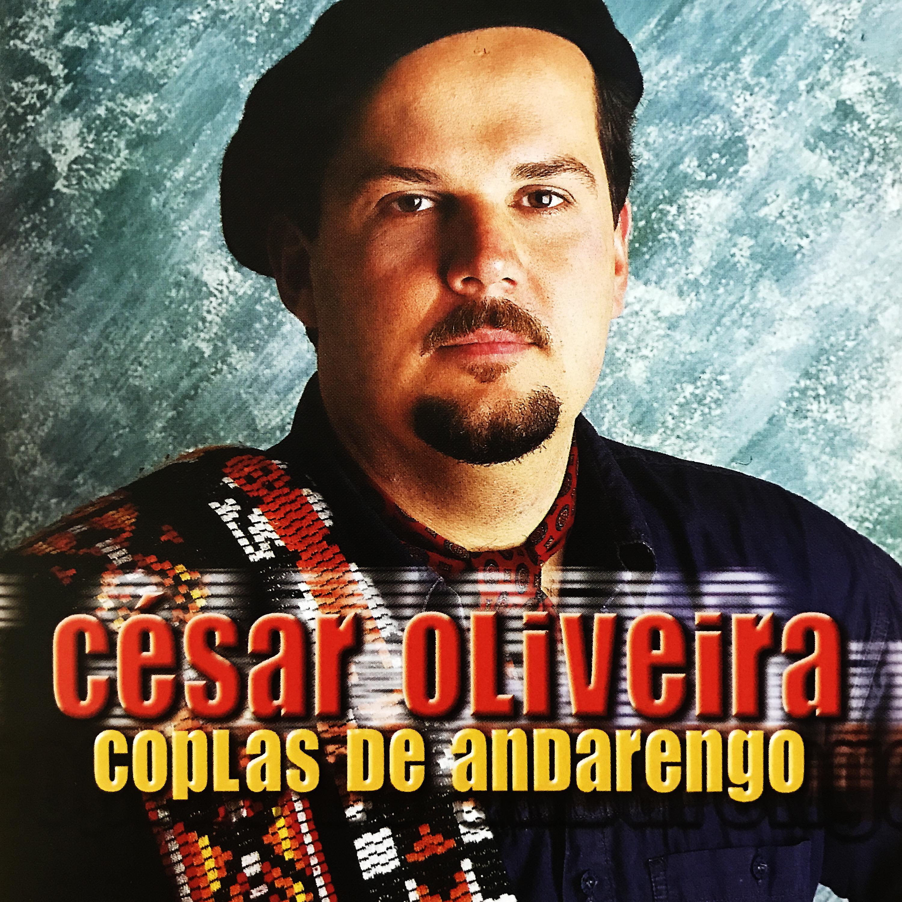 Постер альбома Coplas de Andarengo