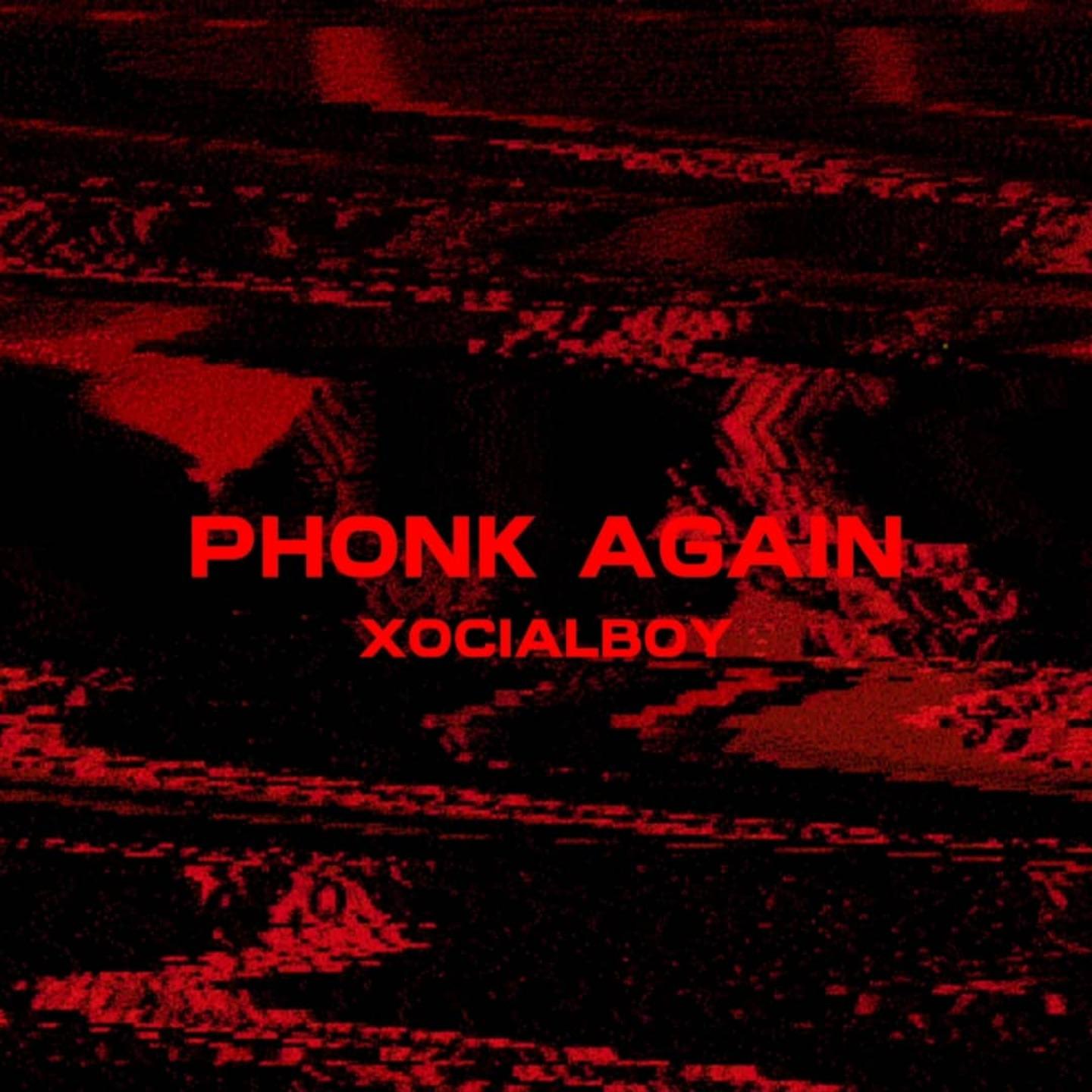Постер альбома Phonk Again