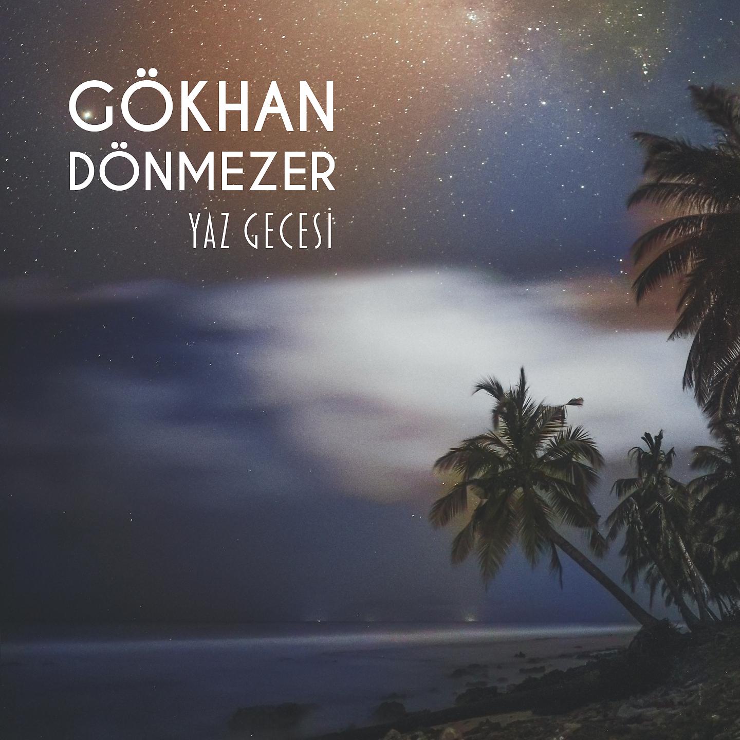 Постер альбома Yaz Gecesi