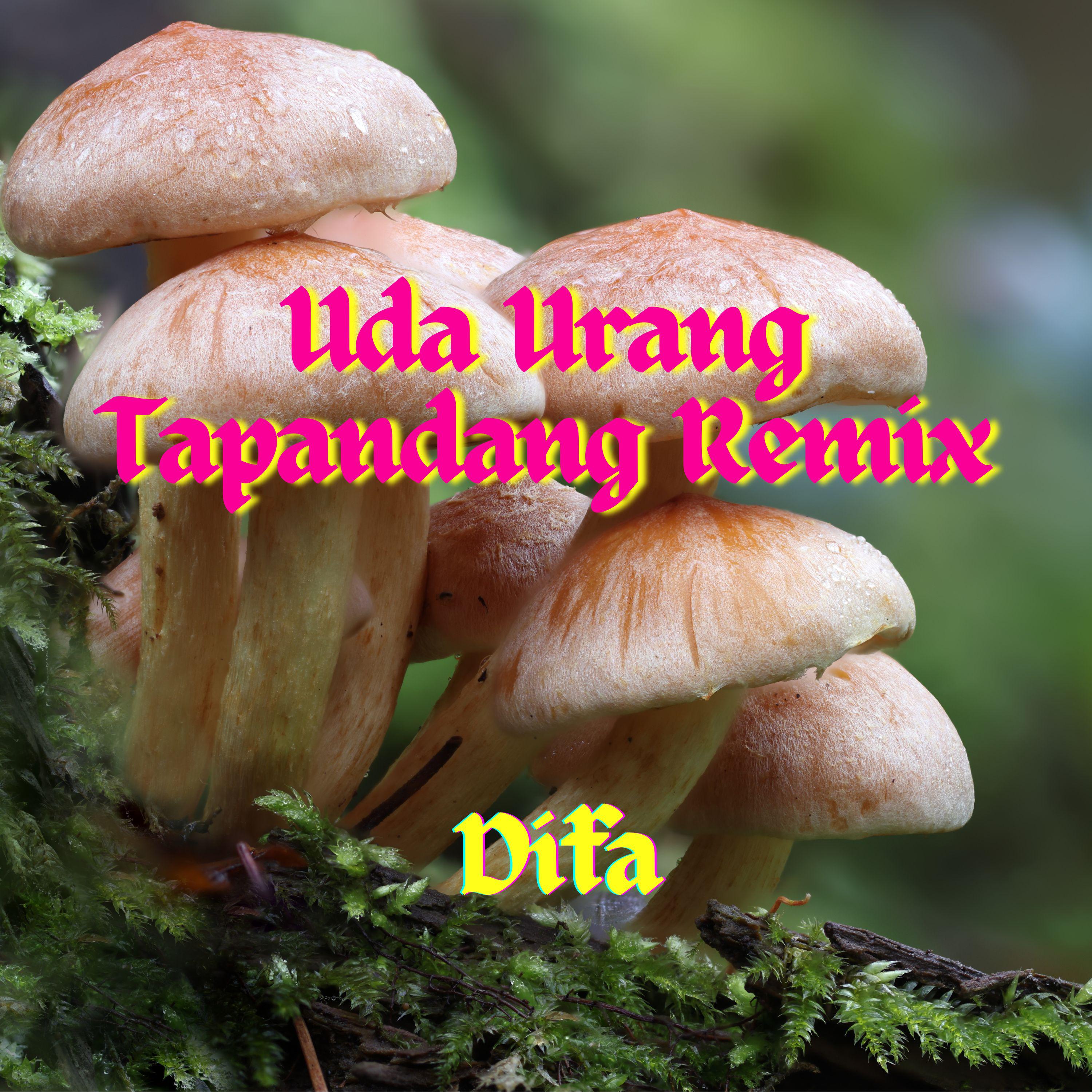 Постер альбома Uda Urang Tapandang Remix