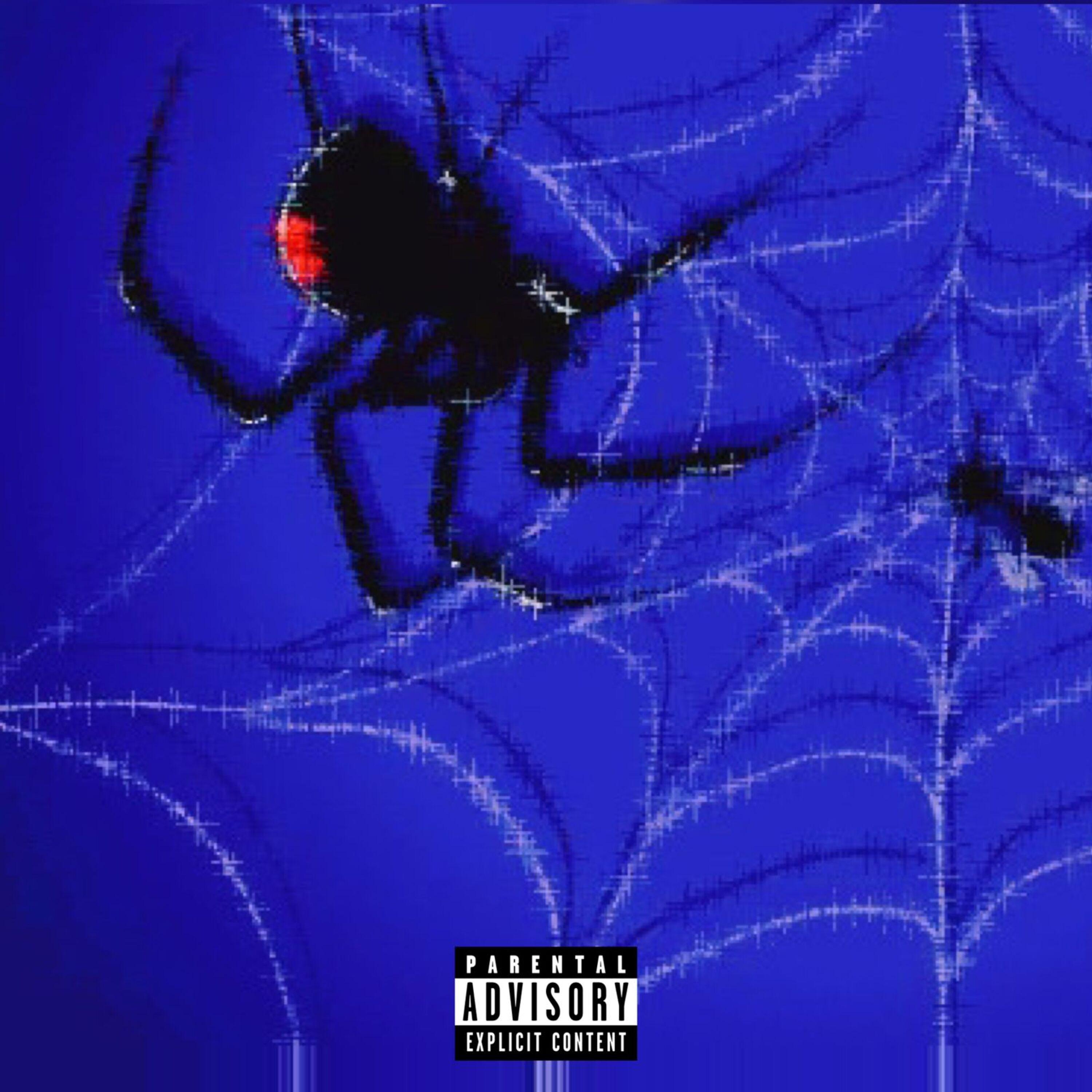 Постер альбома Spider/Icespice