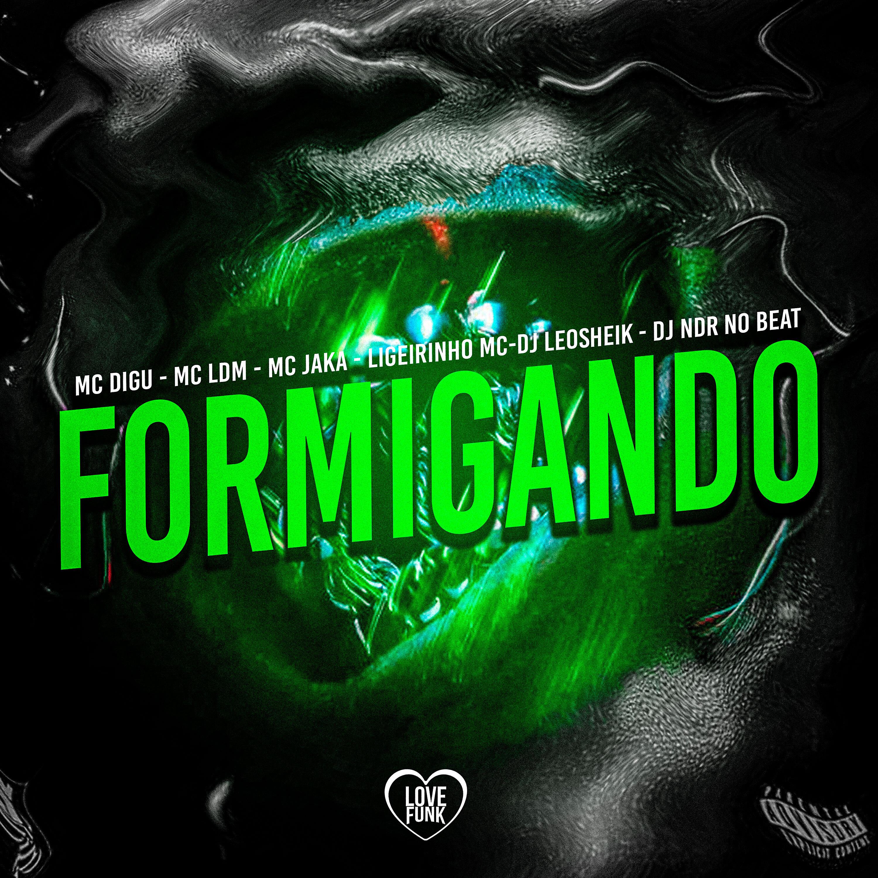 Постер альбома Formigando