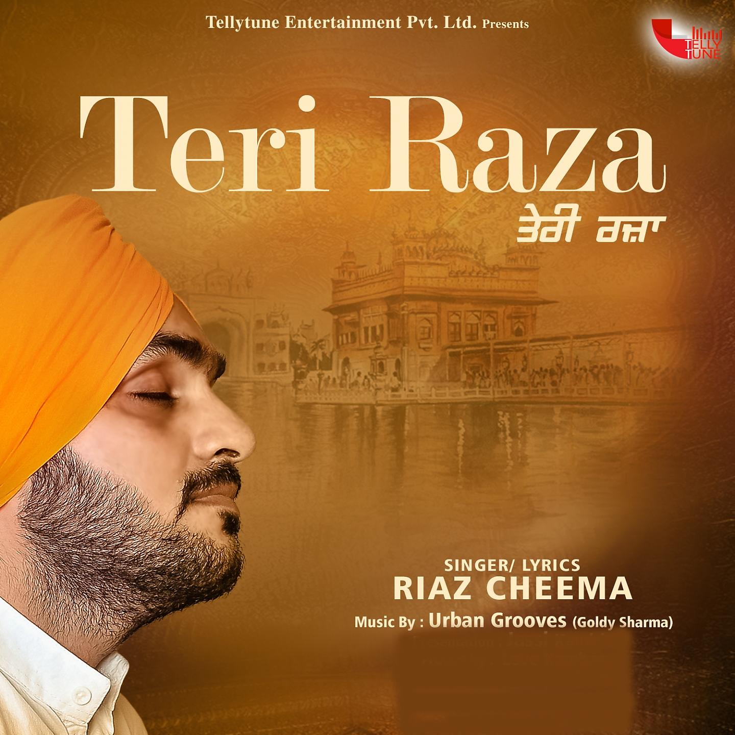 Постер альбома Teri Raza