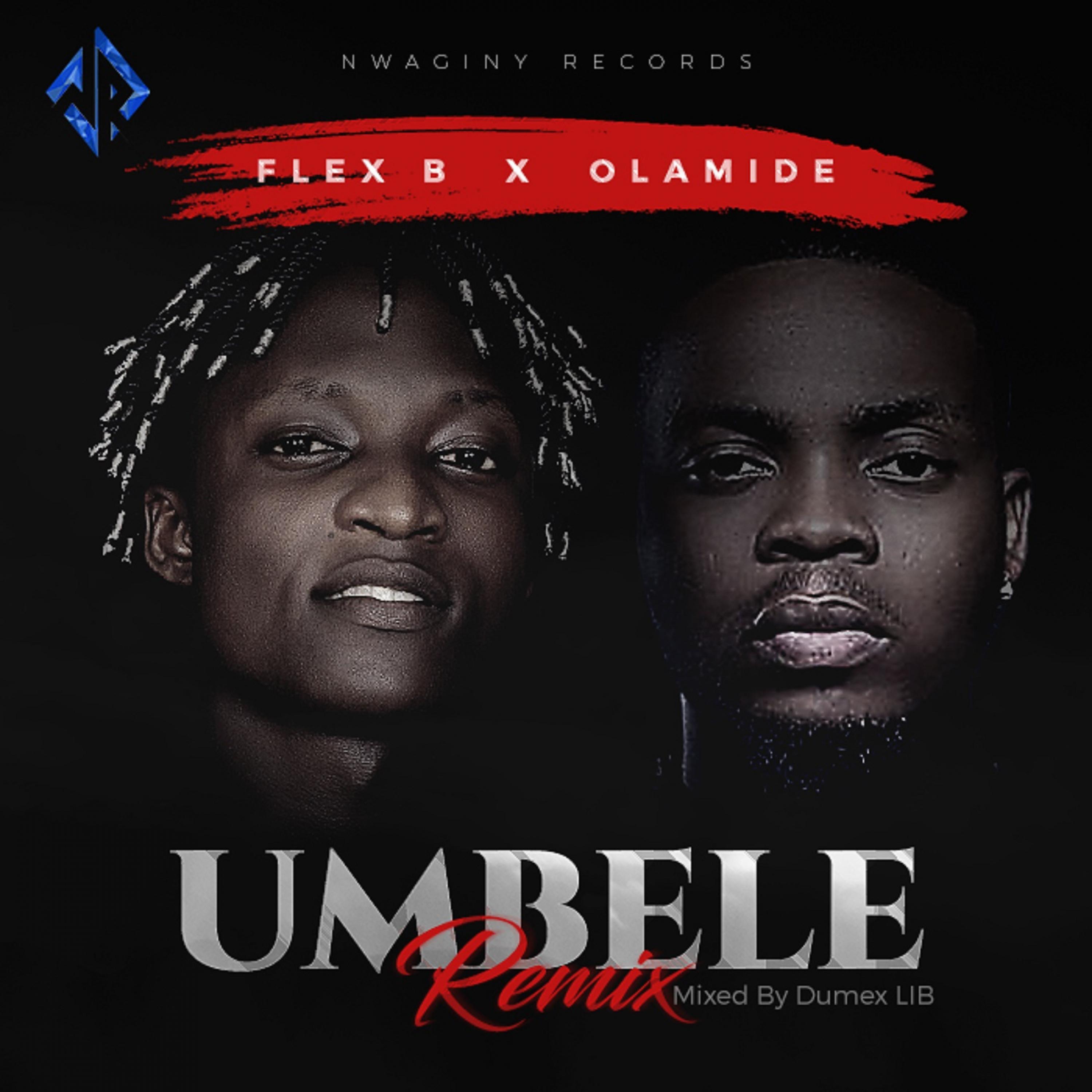 Постер альбома Umbele (Remix)
