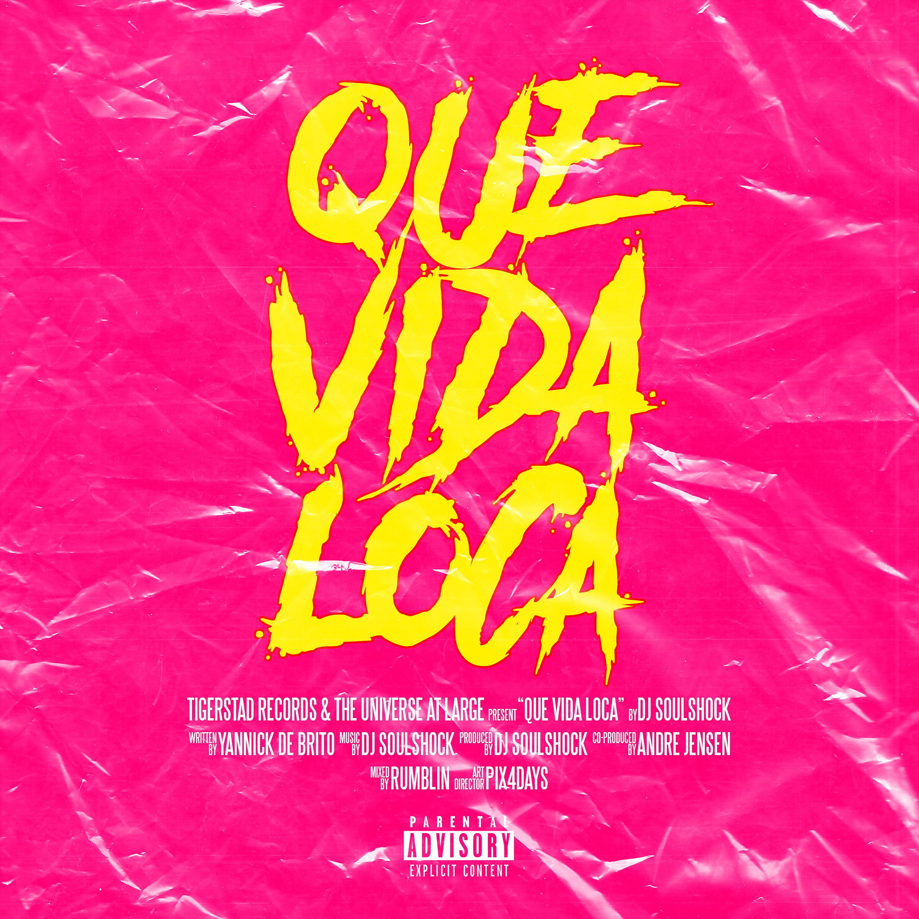 Постер альбома QUE VIDA LOCA