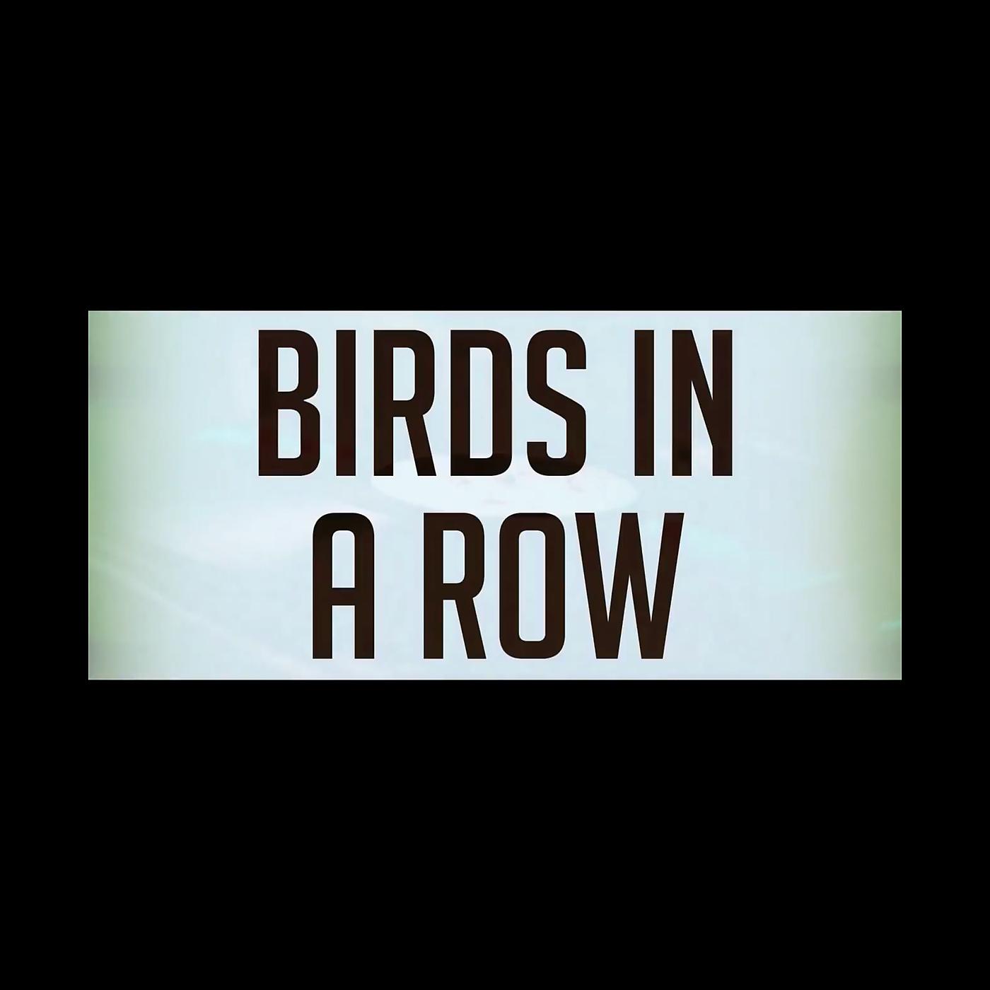 Постер альбома Birds in a Row