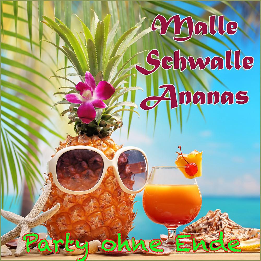 Постер альбома Malle Schwalle Ananas (Party ohne Ende)