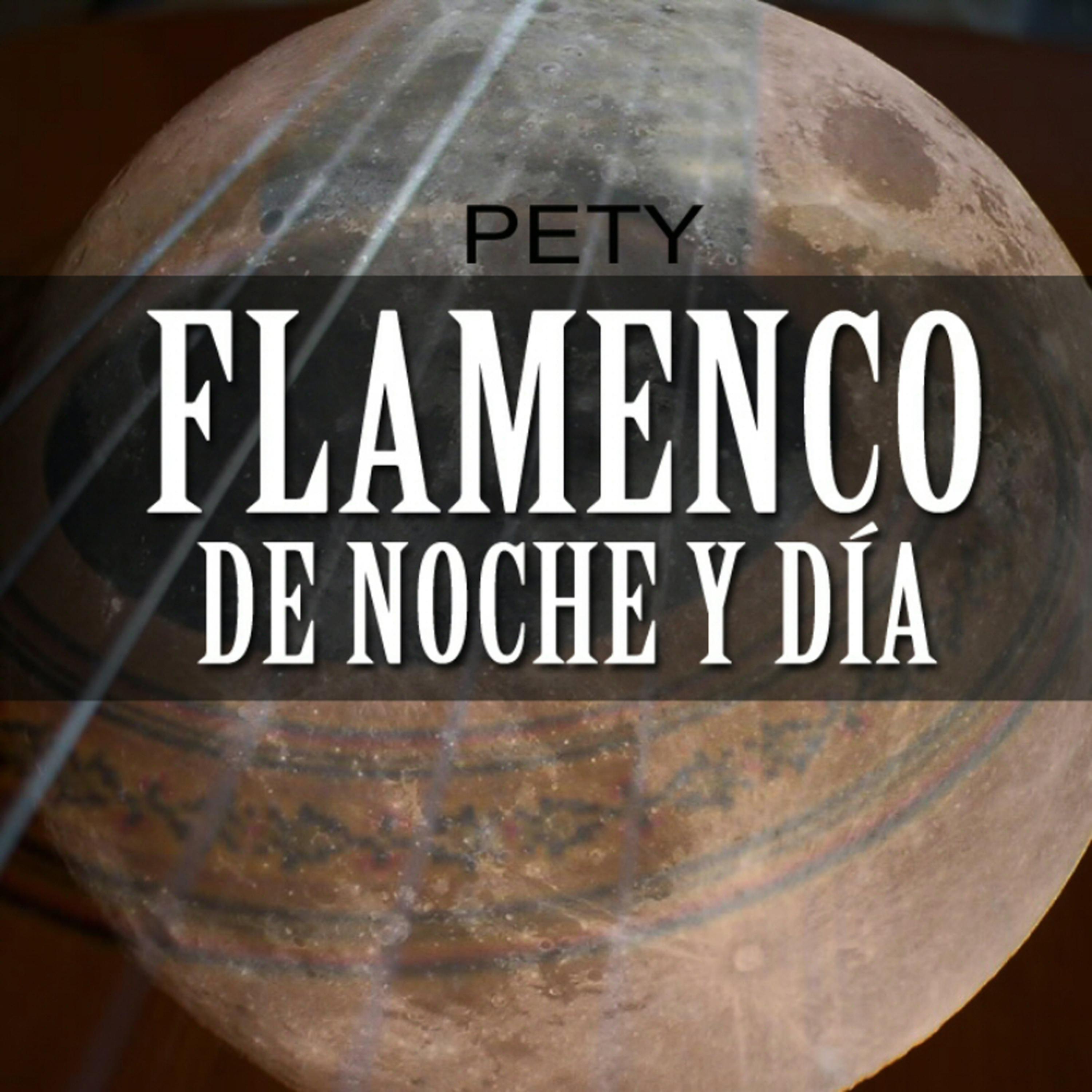Постер альбома Flamenco de Noche y de Dia
