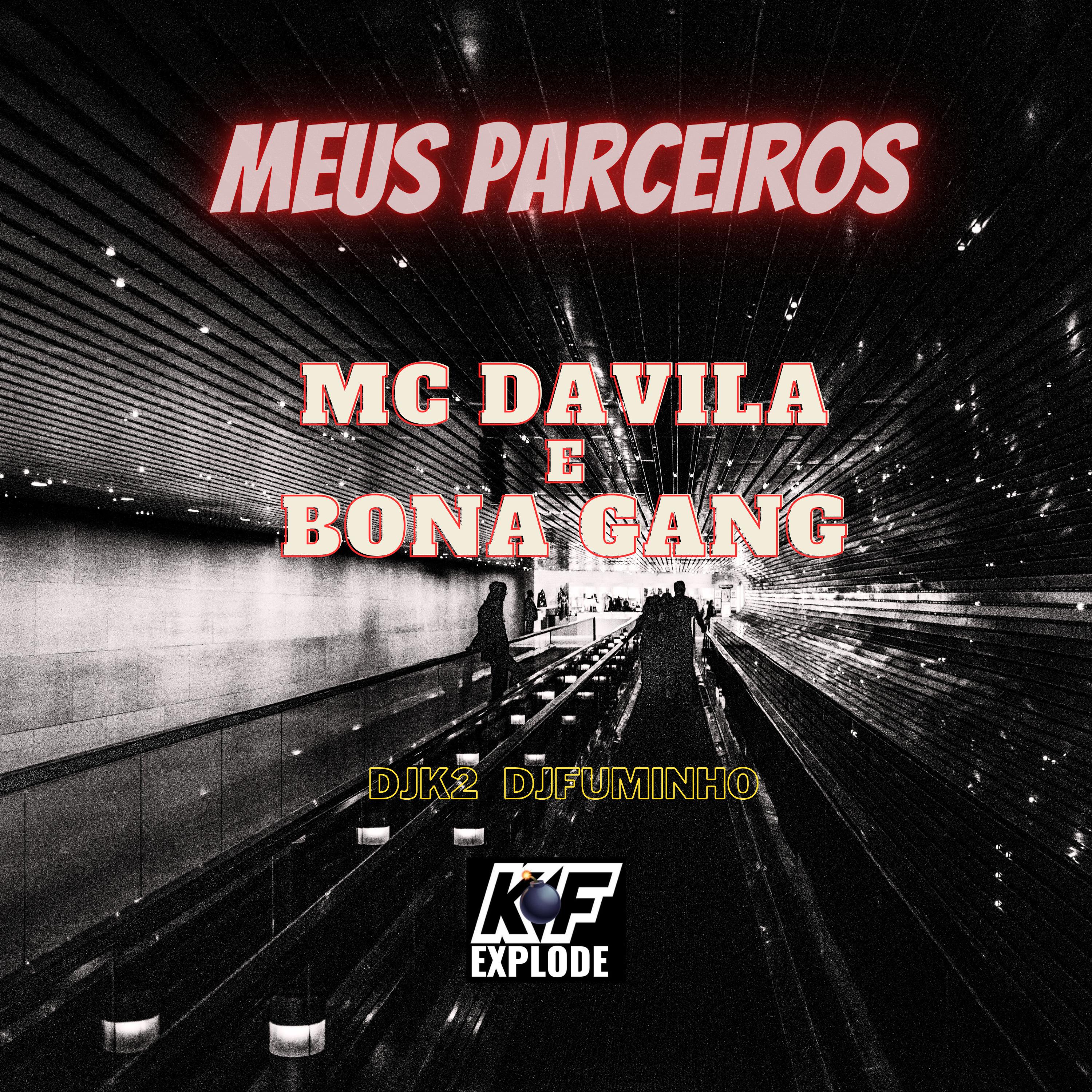 Постер альбома Meus Parceiros