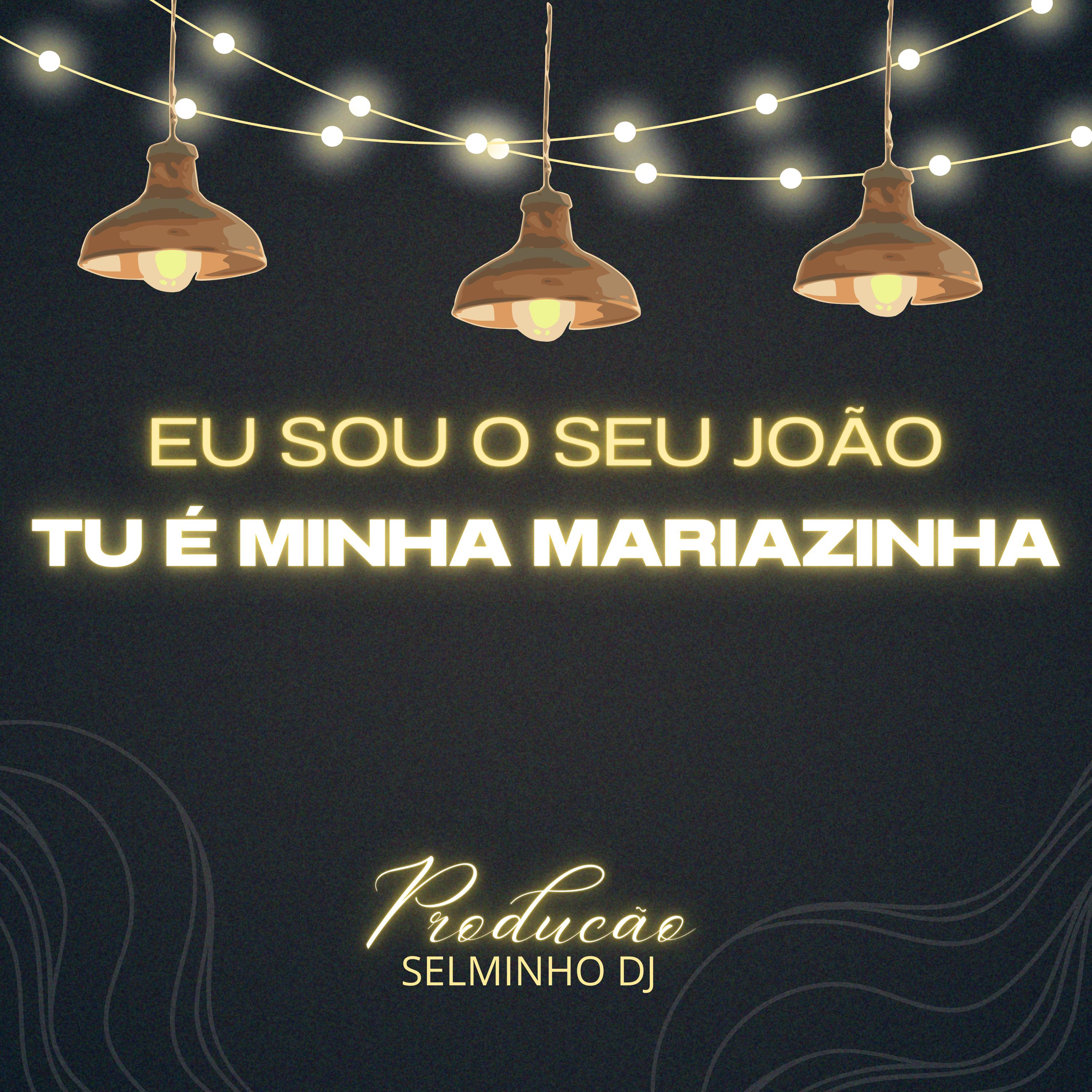 Постер альбома Eu Sou o Seu João Tu É Minha Mariazinha Vs Funk