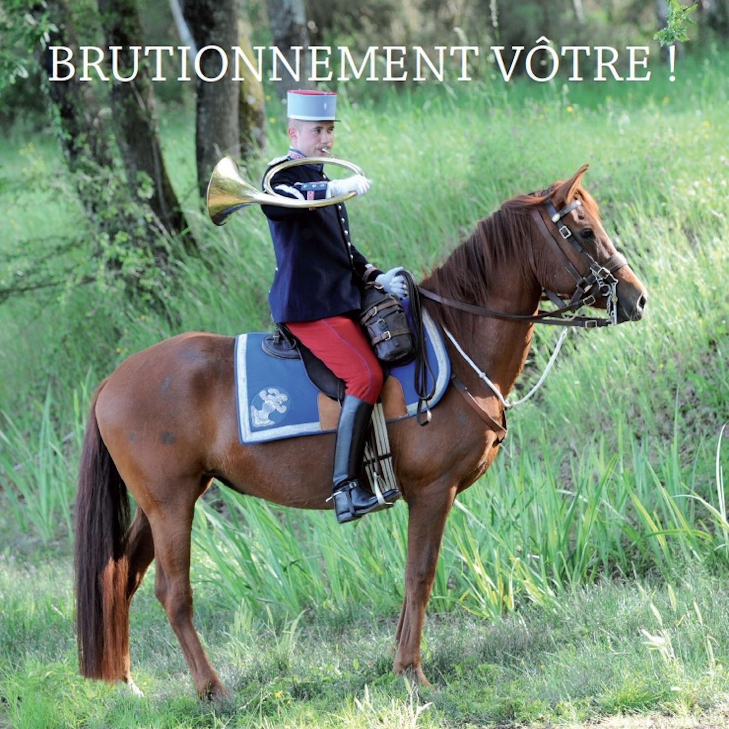 Постер альбома Brutionnement vôtre !