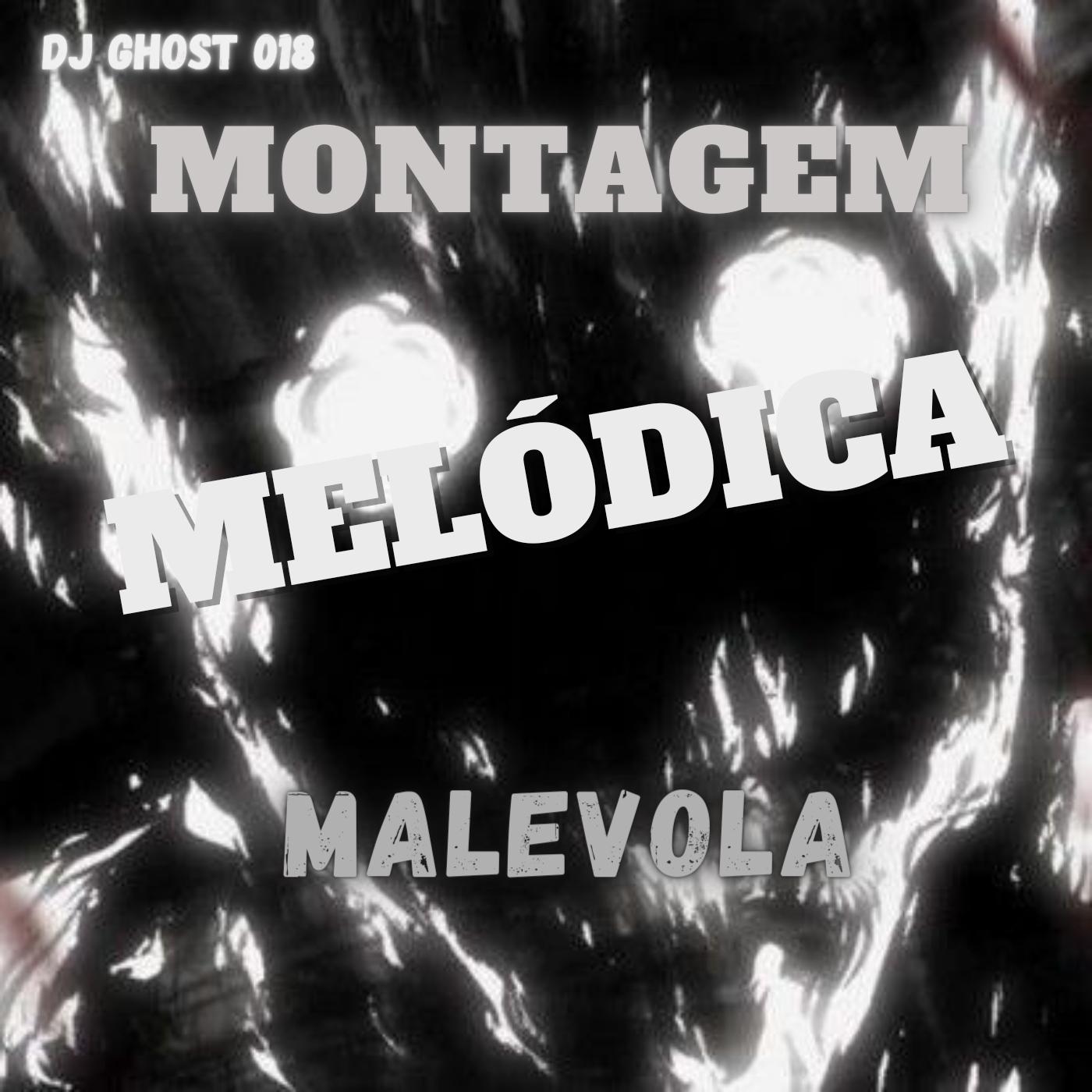 Постер альбома Montagem Melodia Malevola
