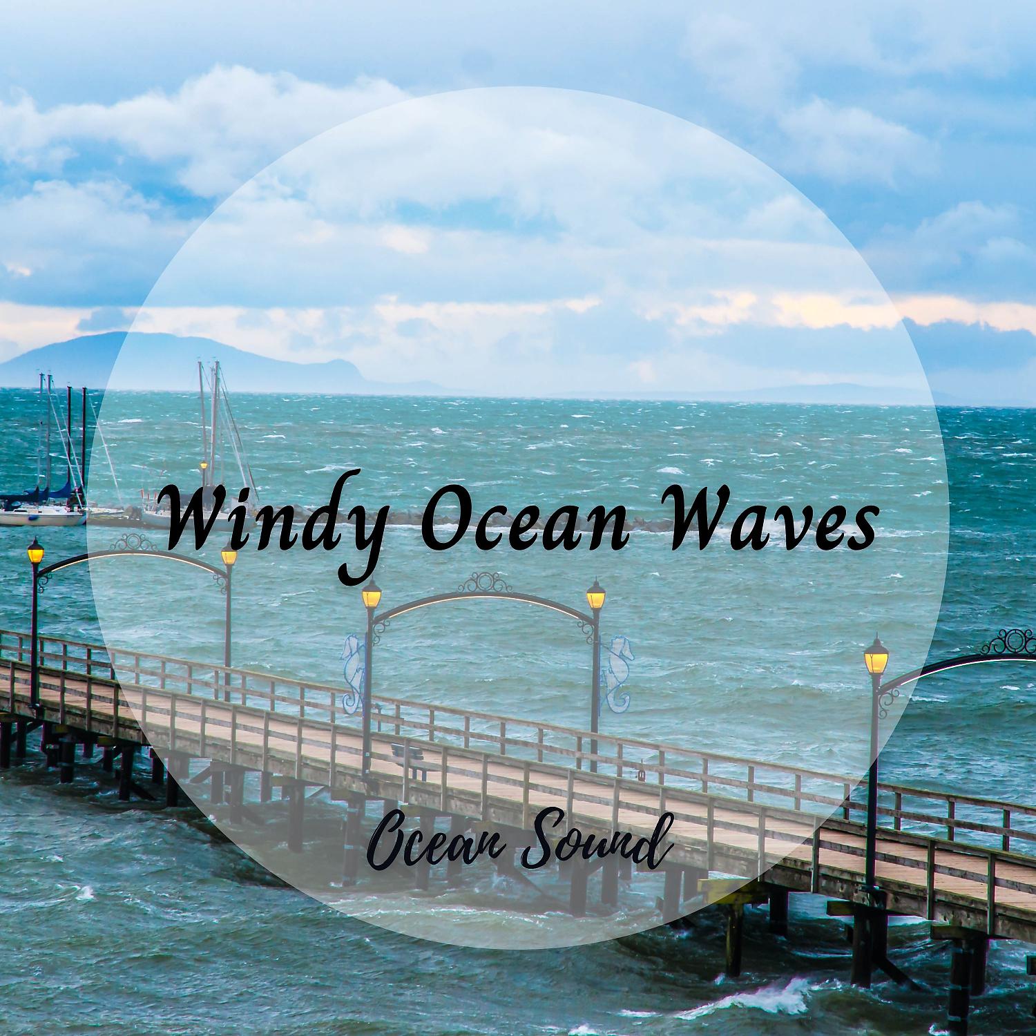 Постер альбома Ocean Sound: Windy Ocean Waves