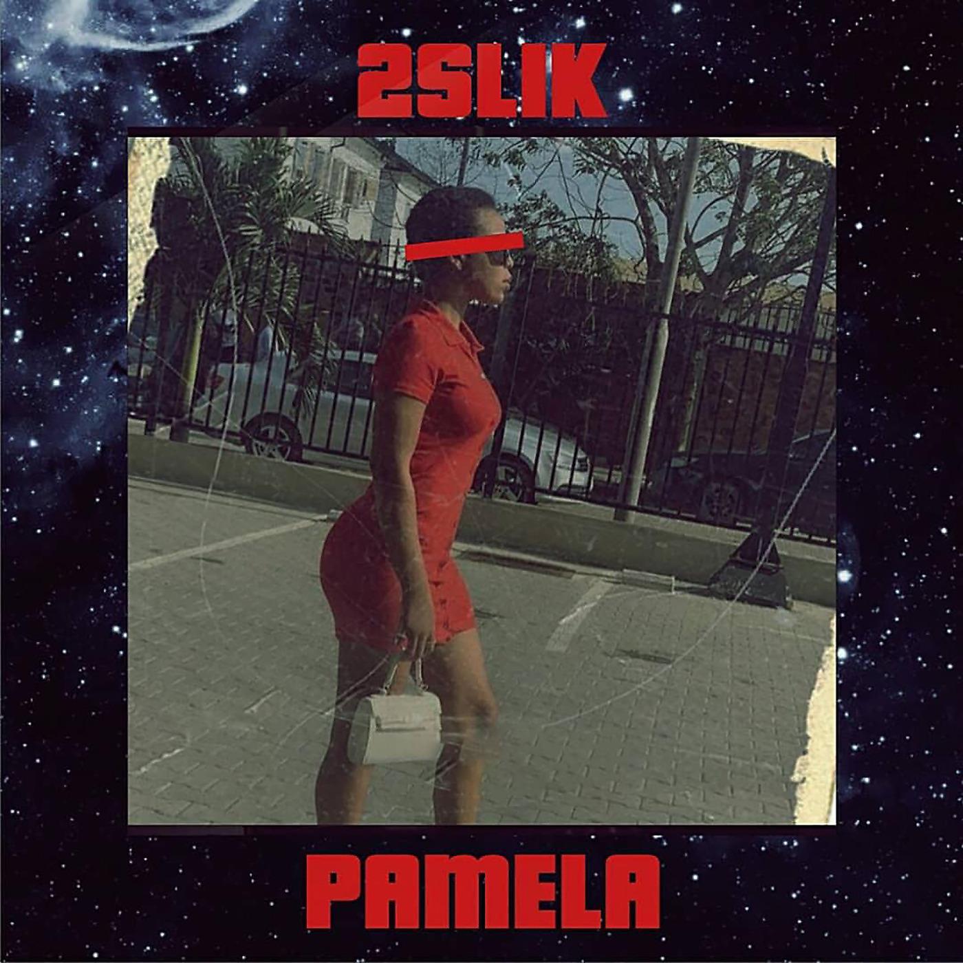 Постер альбома Pamela