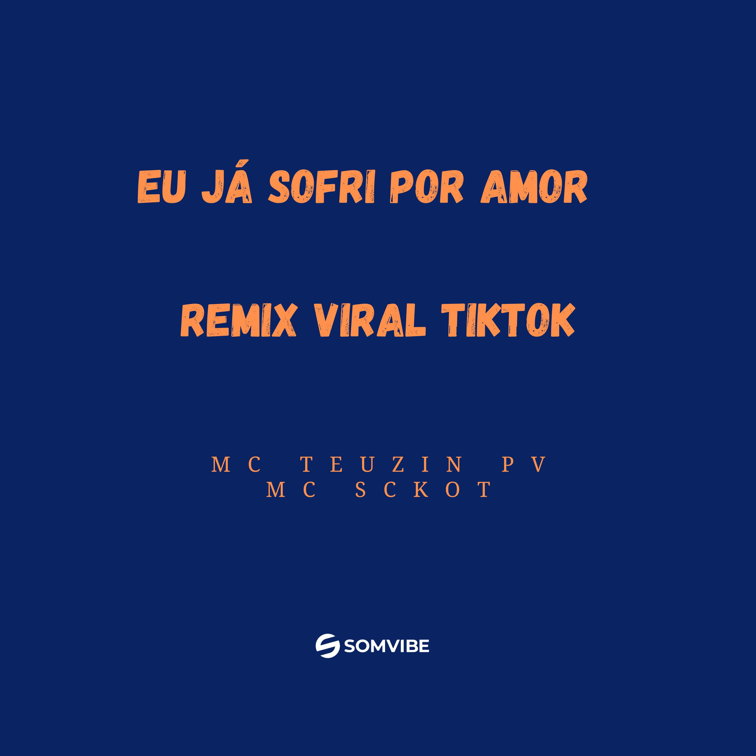 Постер альбома Eu Já Sofri por Amor Remix Viral Tiktok