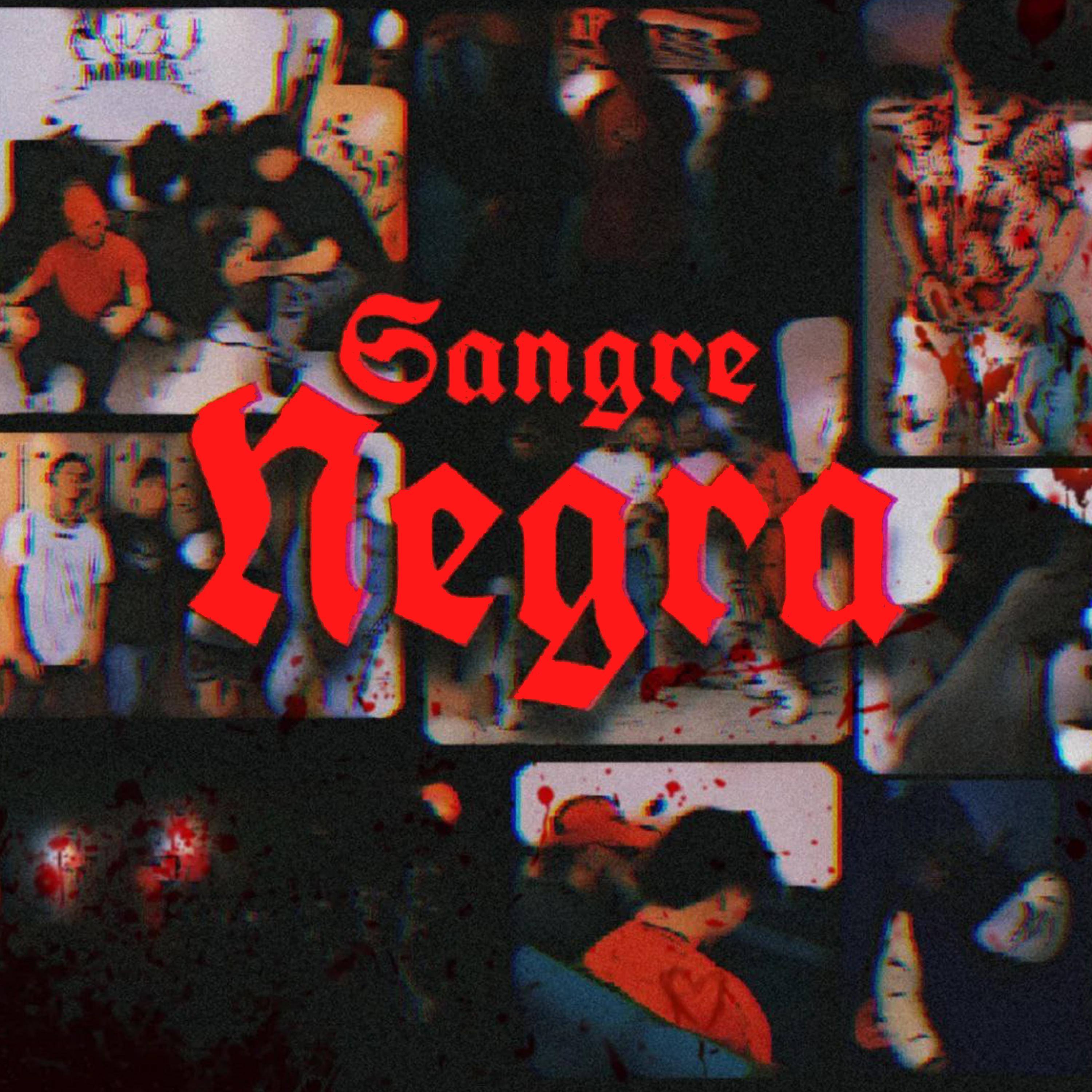 Постер альбома Sangre Negra