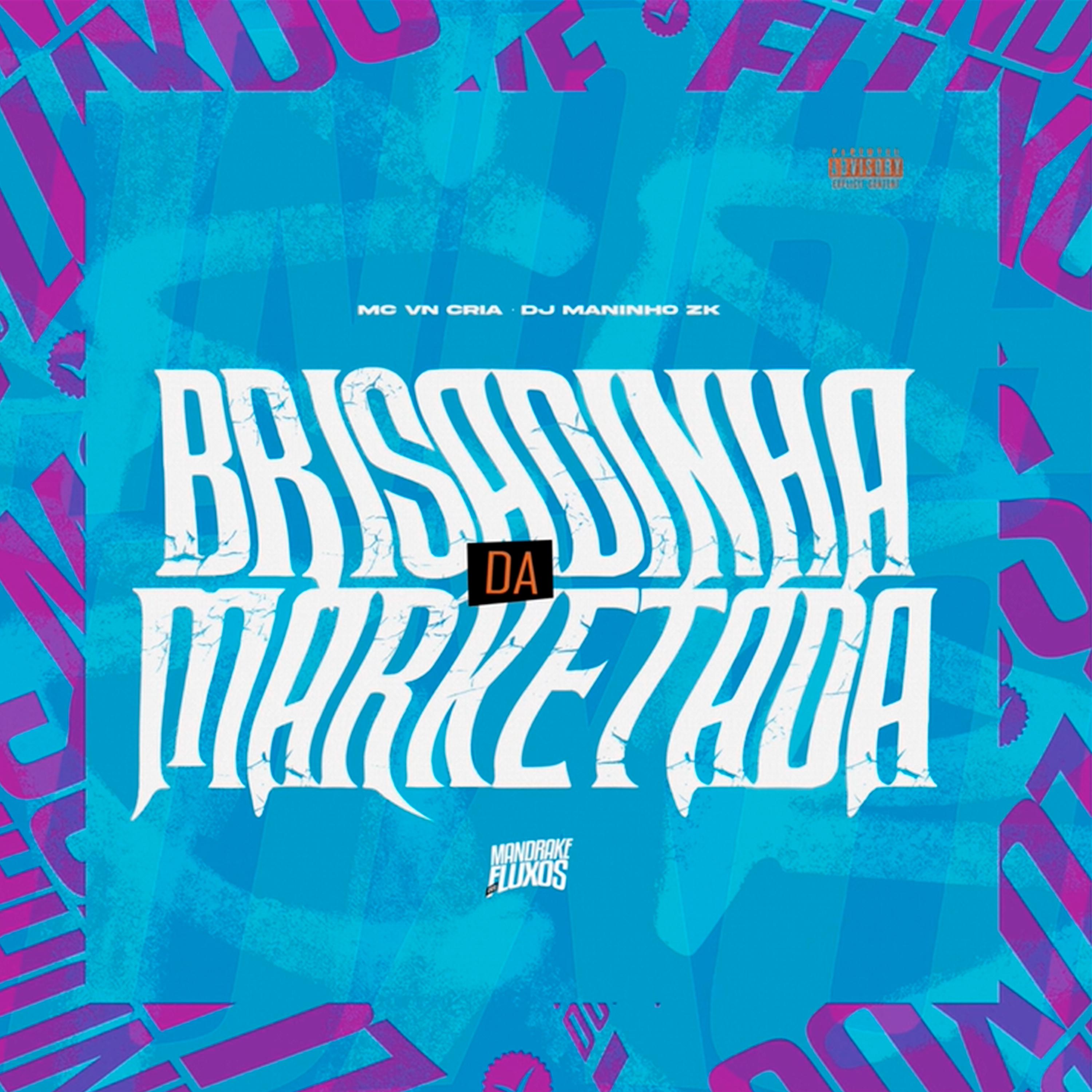 Постер альбома Brisadinha da Marketada