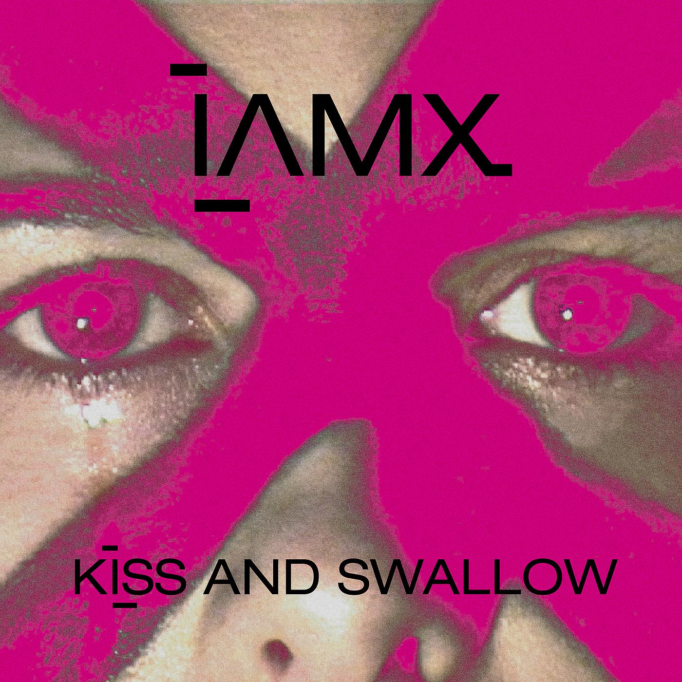 Постер альбома Kiss And Swallow