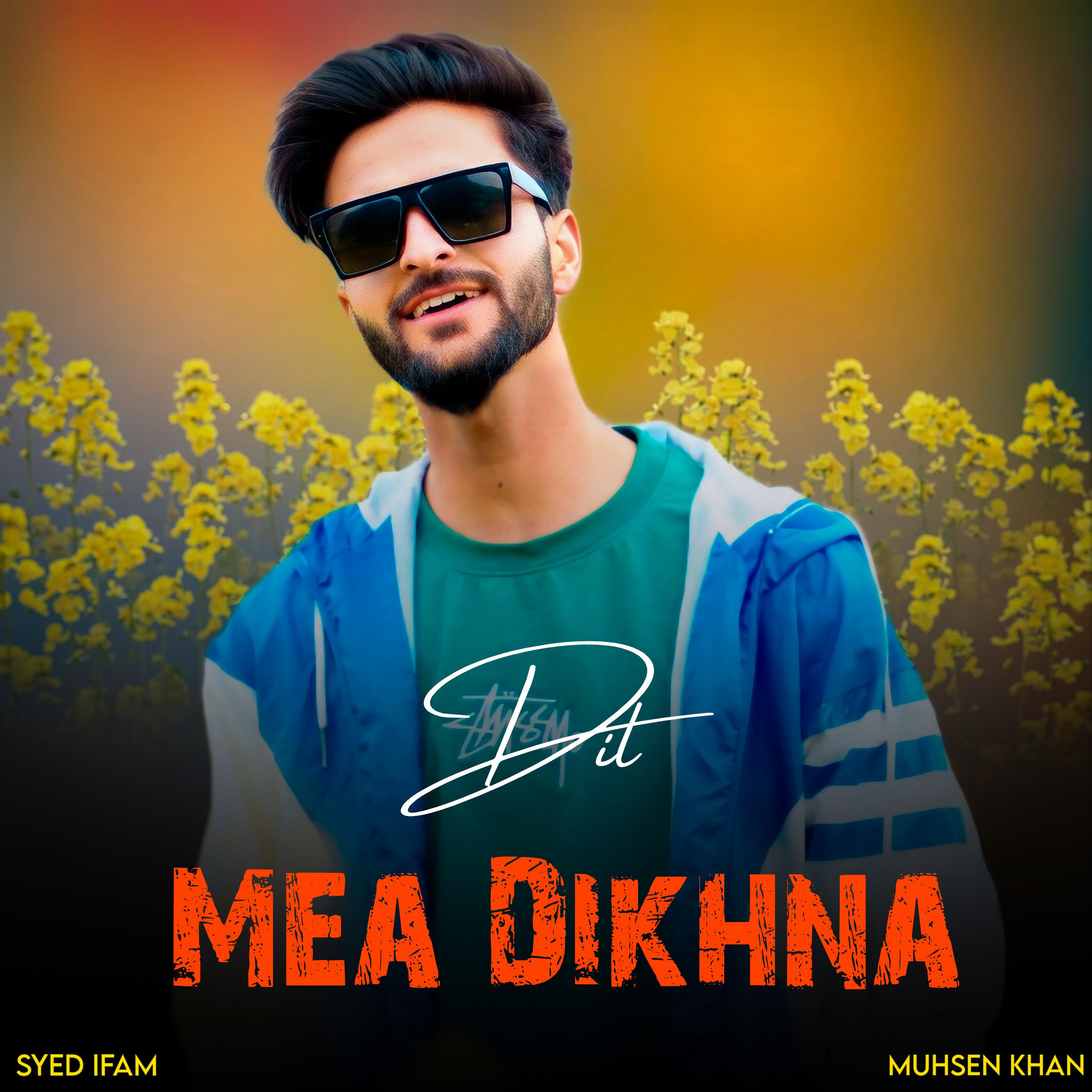 Постер альбома Dil Mea Dikhna