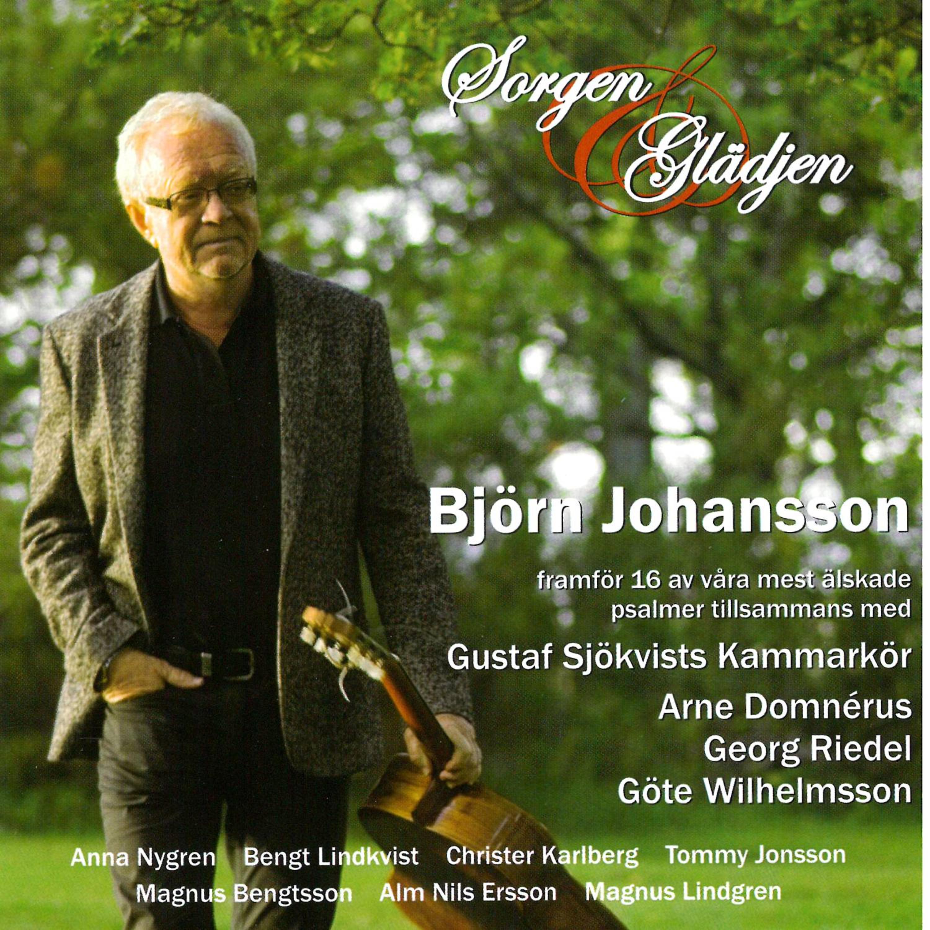 Постер альбома Sorgen & Glädjen