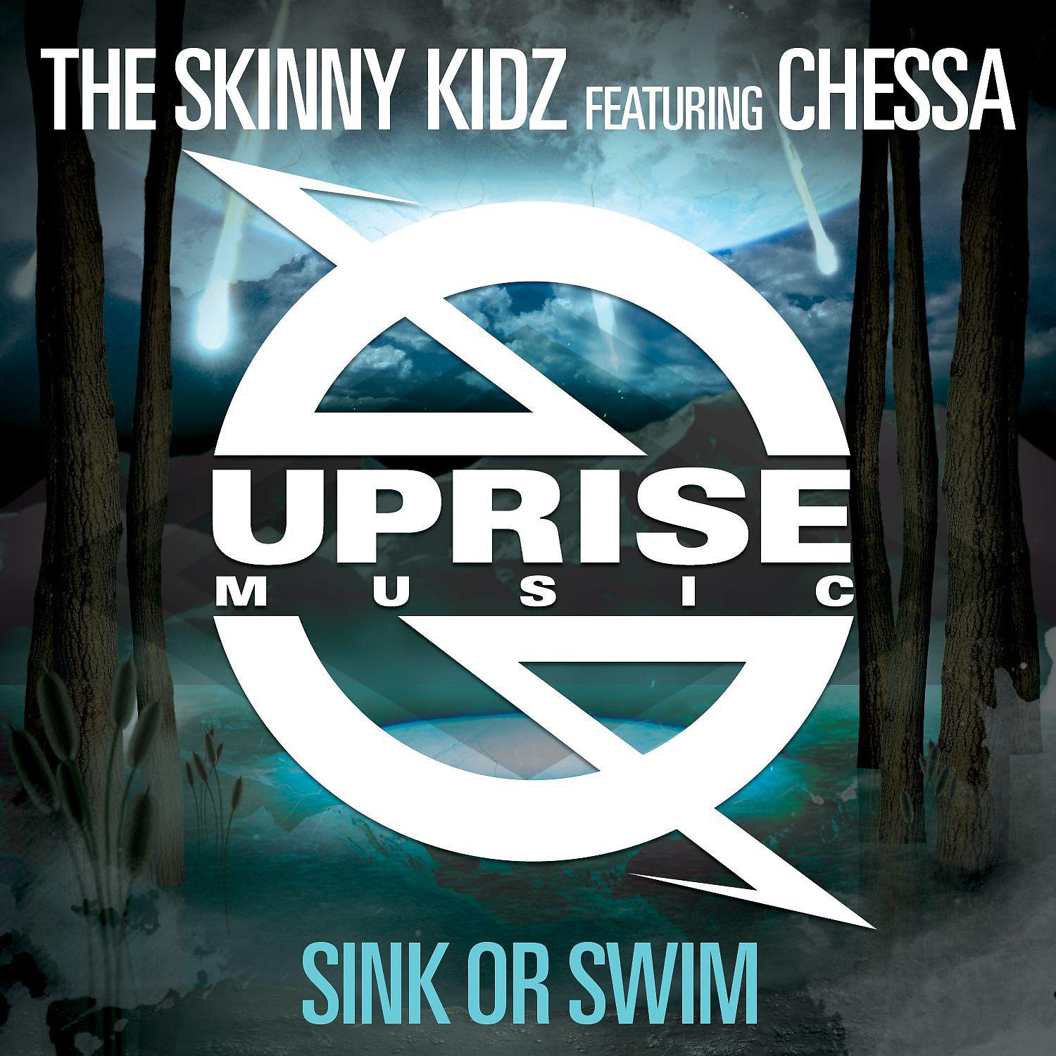 Постер альбома Sink Or Swim (feat. Chessa)