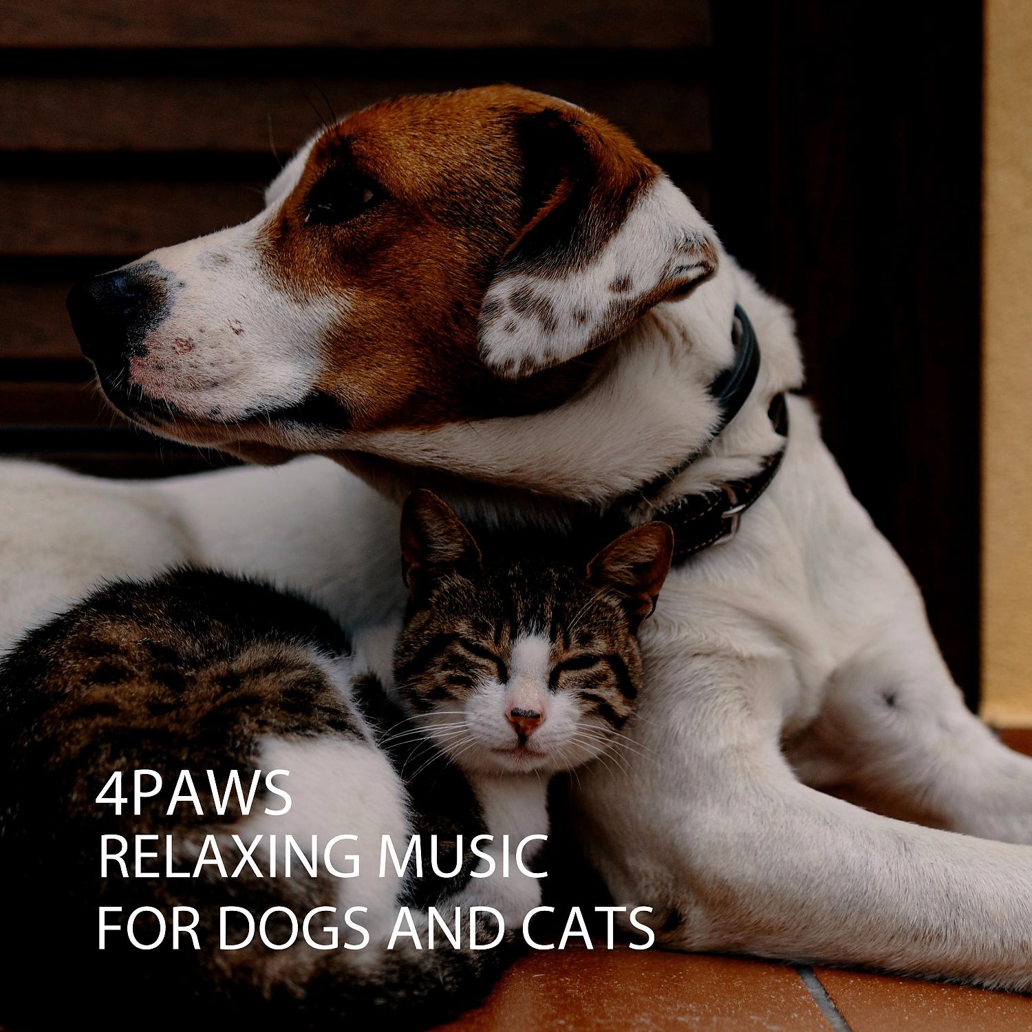 Постер альбома 4PAWS: Relaxing Music For Dogs and Cats