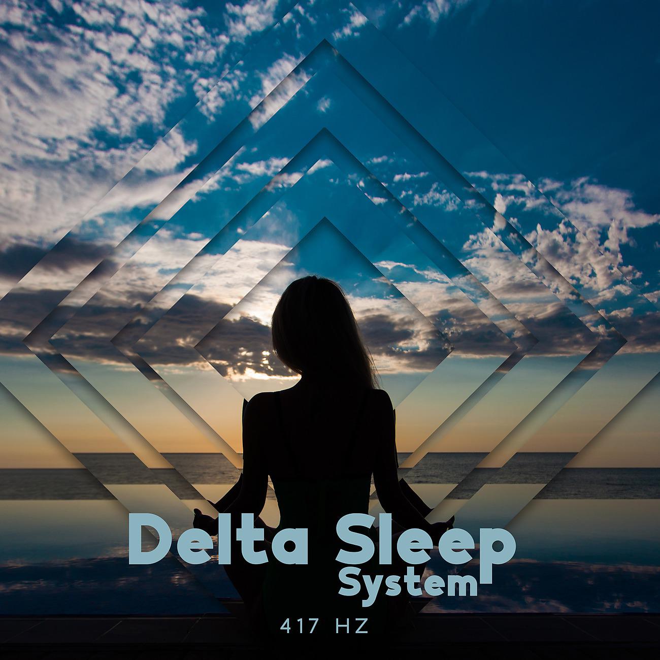 Постер альбома Delta Sleep System