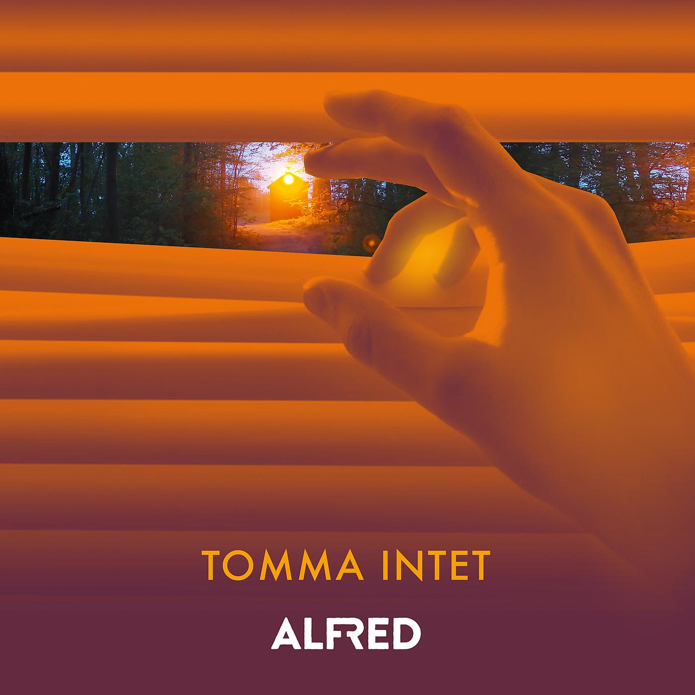 Постер альбома Tomma Intet