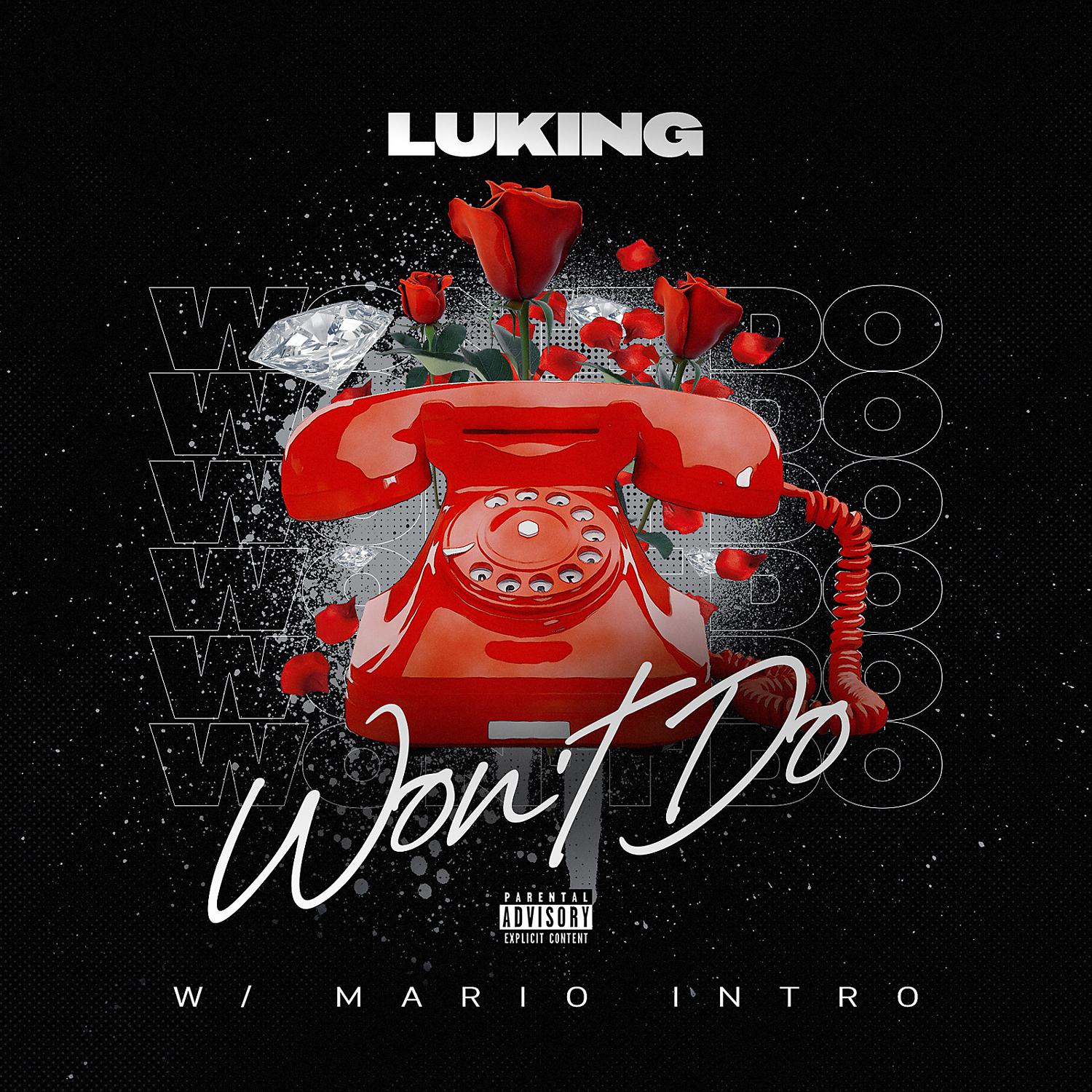 Постер альбома Won’t Do (feat. Mario)