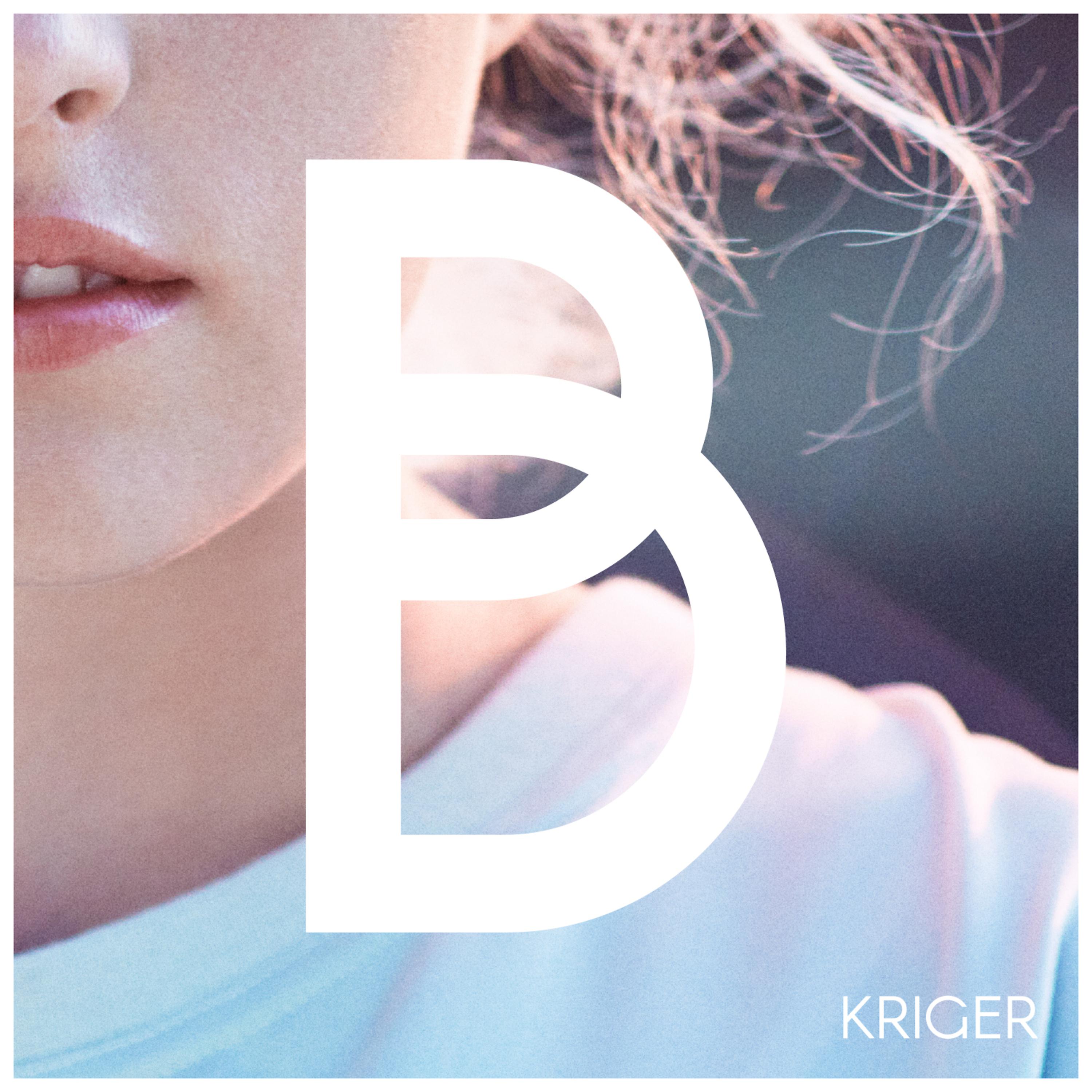 Постер альбома Kriger