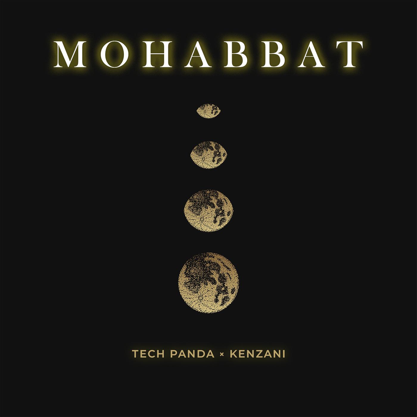 Постер альбома Mohabbat