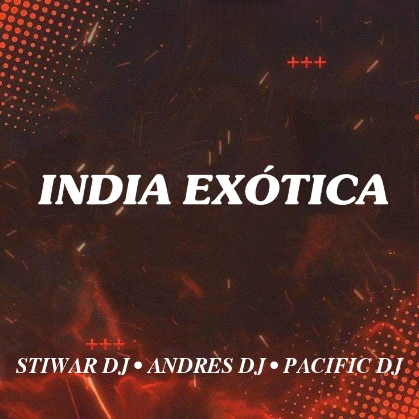 Постер альбома India Exotica (feat. Pacific Dj, Stiwar Dj)