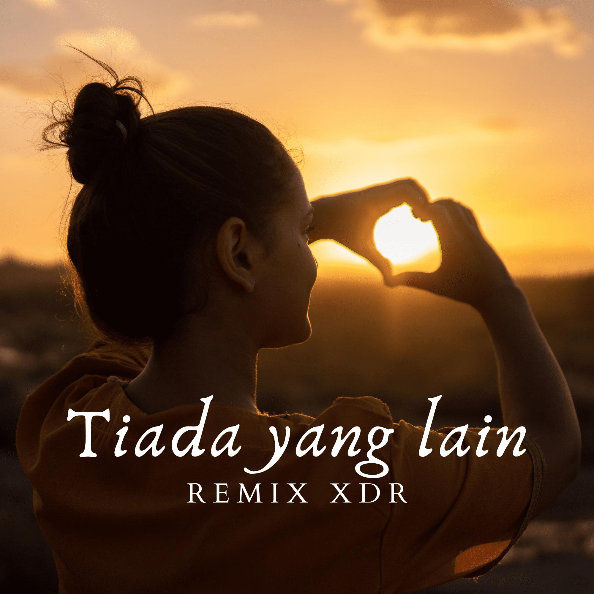 Постер альбома Tiada Yang Lain